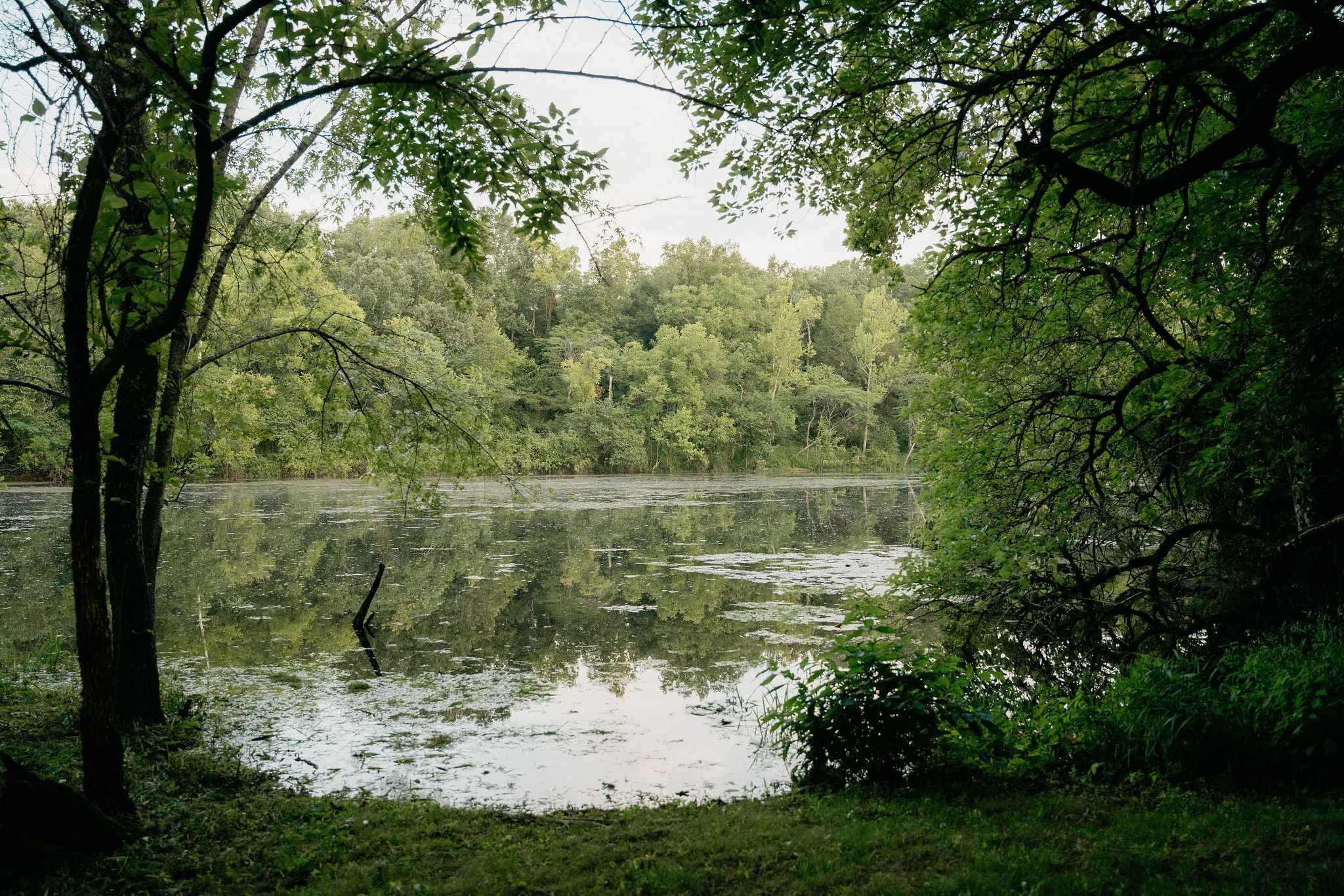 Access to Lake Taneycomo