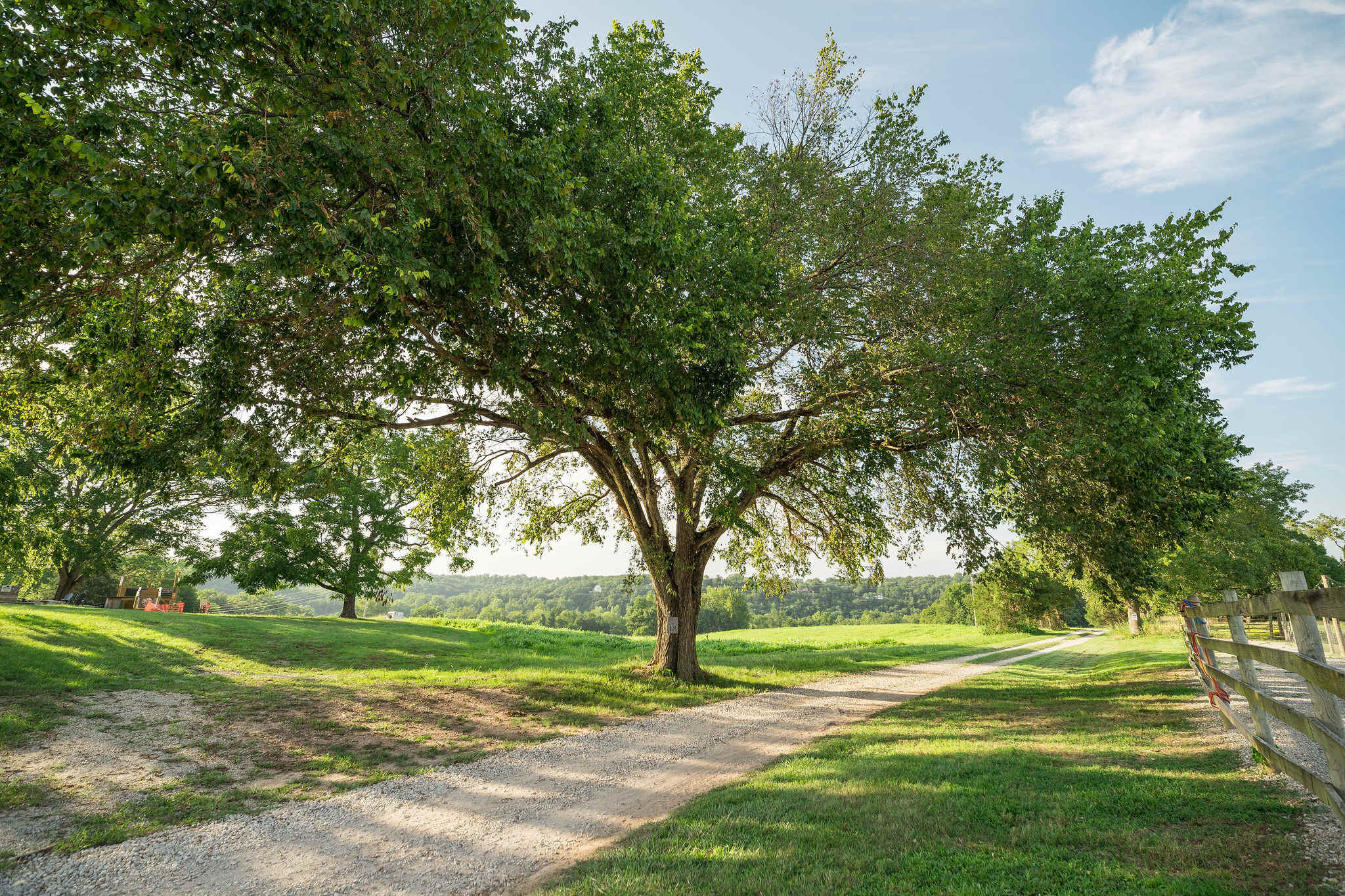 Sycamore Creek Ranch