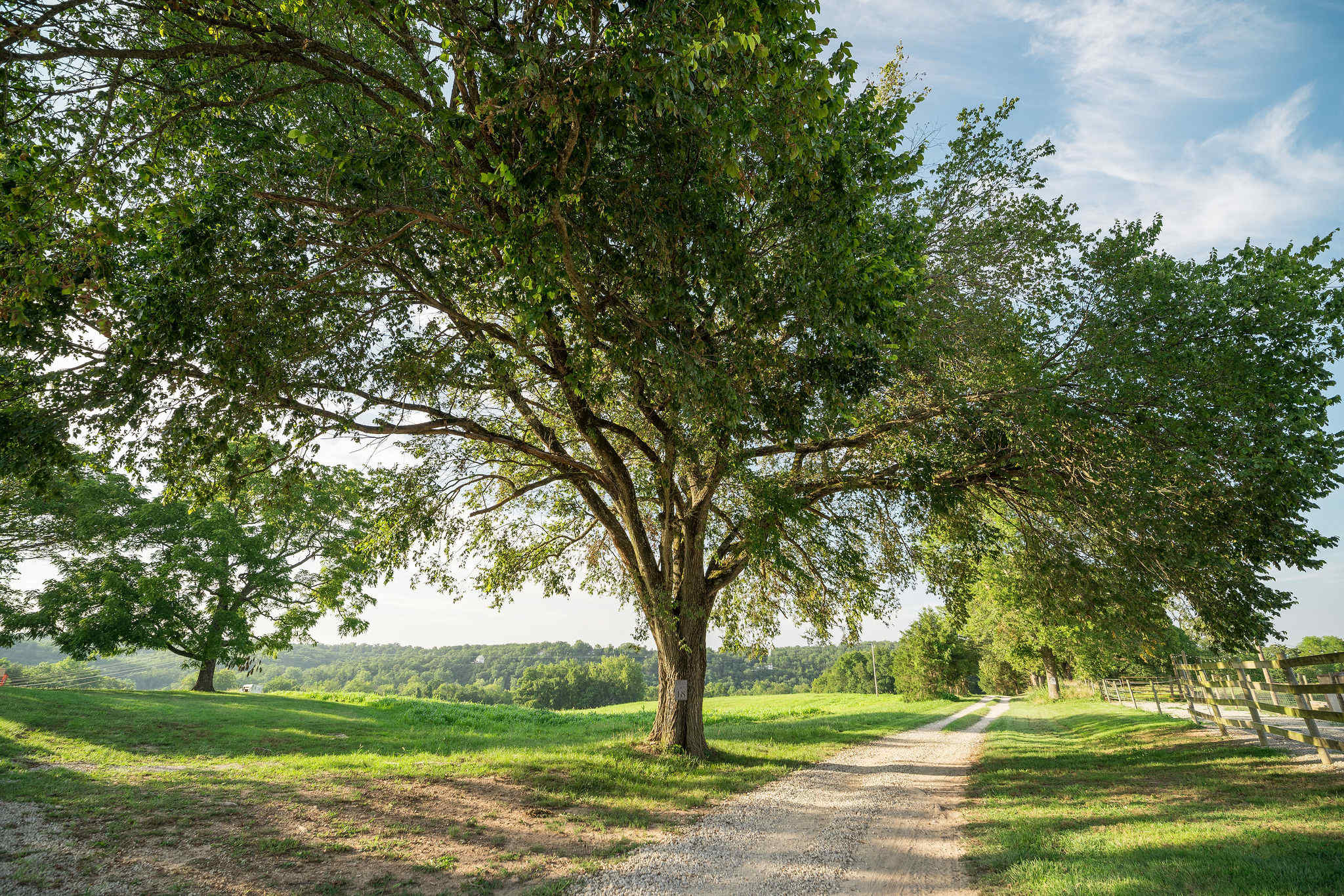Sycamore Creek Ranch