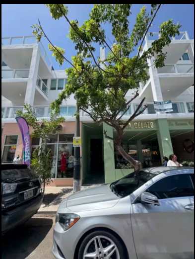 1351 Ashford by Stay with Bear — San Juan, San Juan — vacation rental