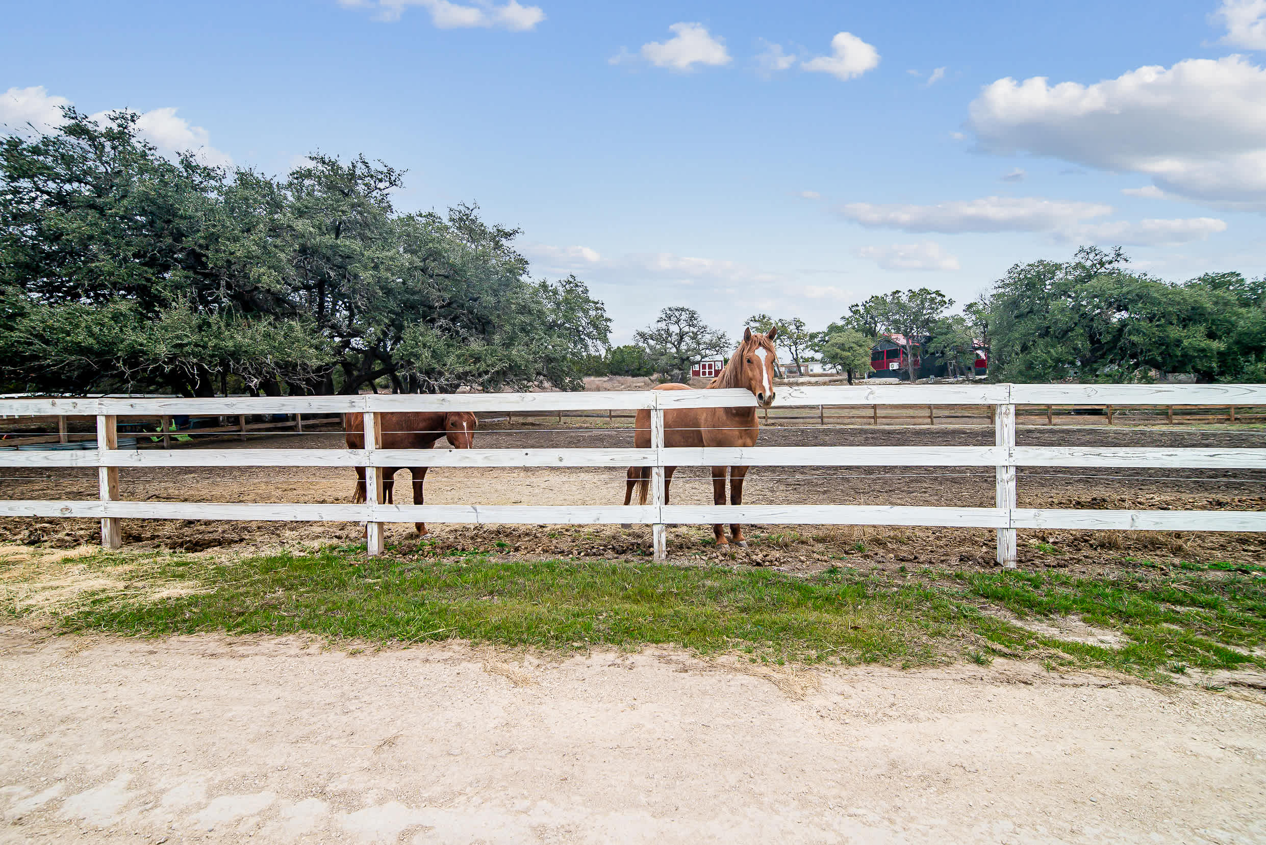 Canyon Lake-Sweet Retreat | Photo 44