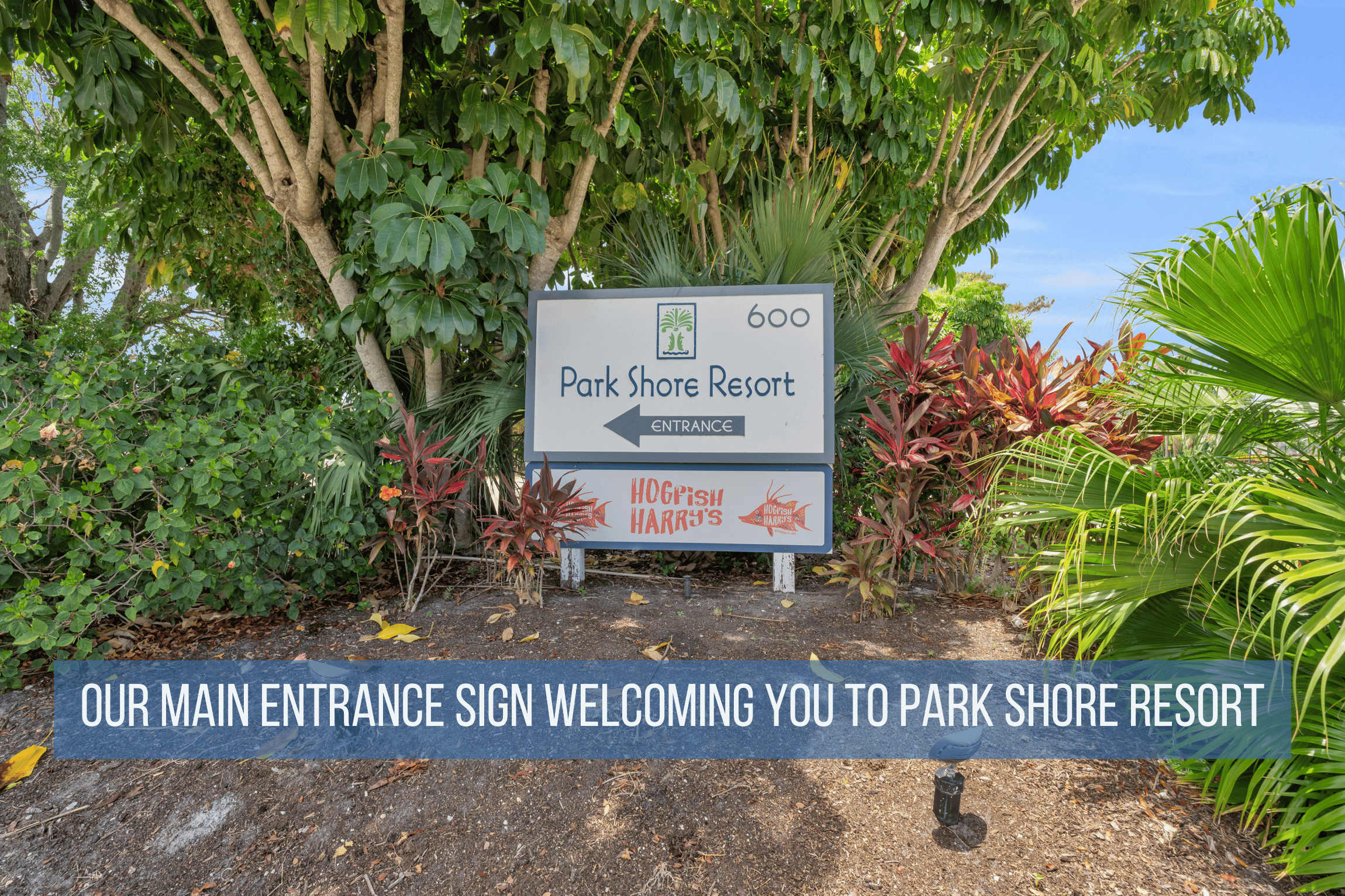 C 117 Luxury Park Shore Resort Condo with Pool | Photo 36