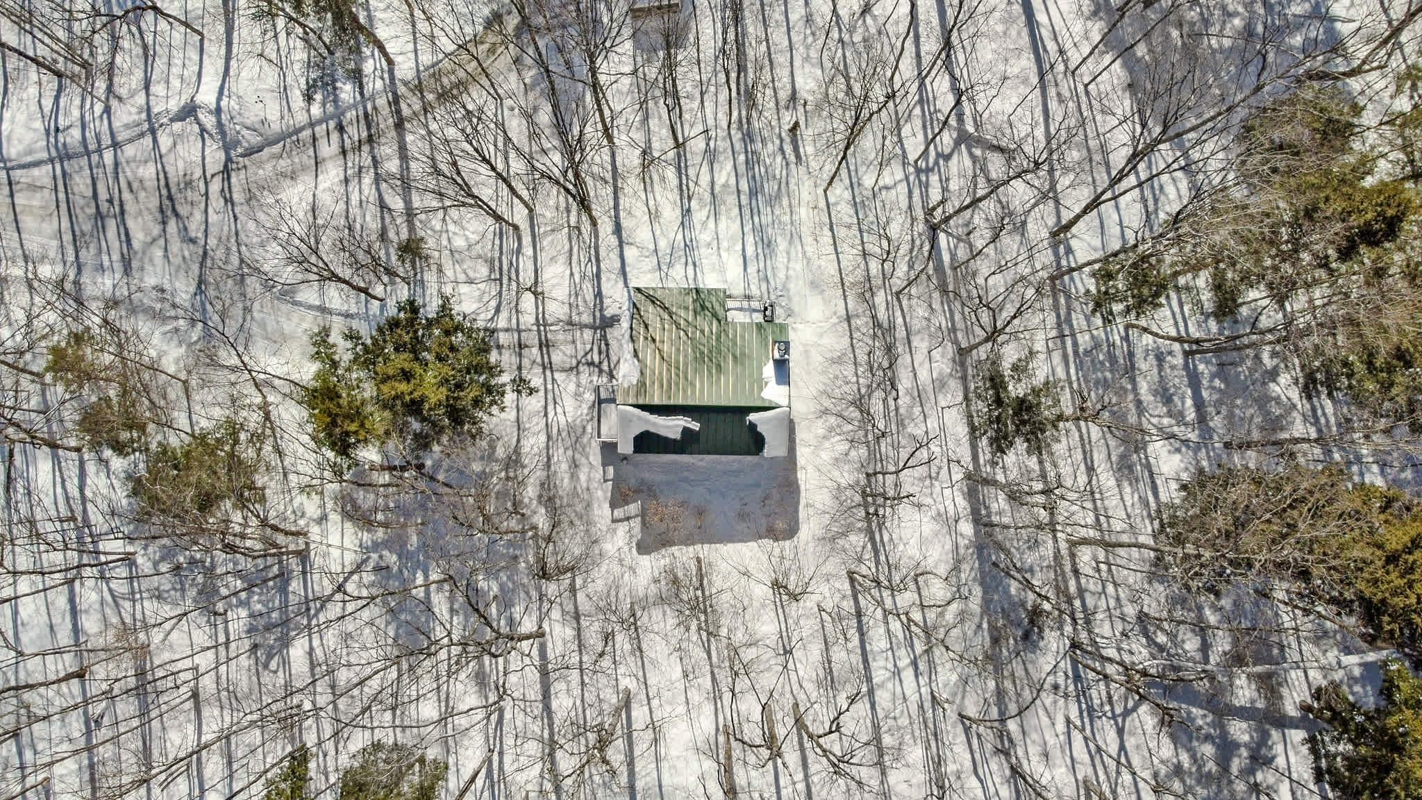 Quechee Woodland Escape: Ski, Fireplace + Foosball