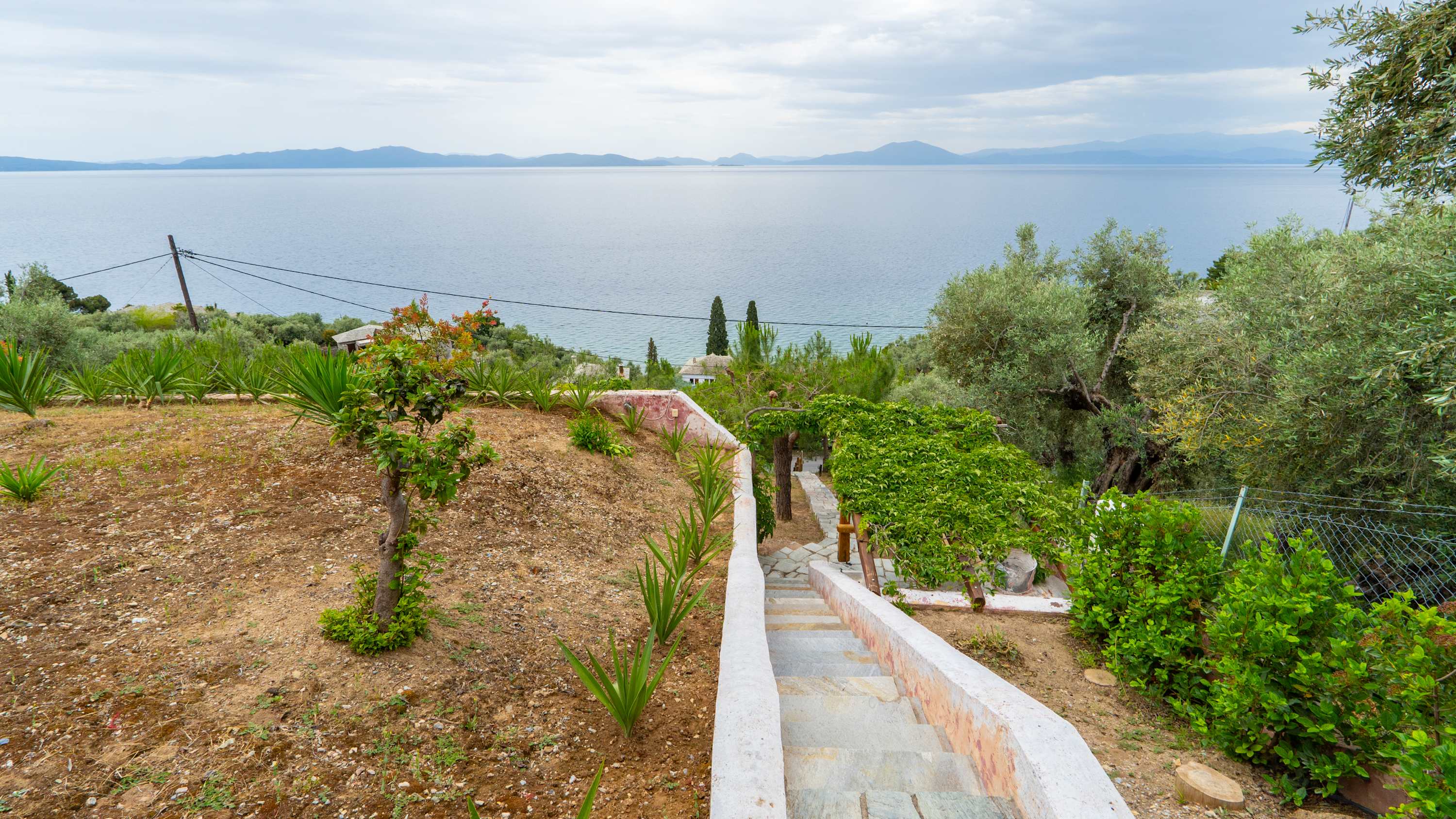 View 8