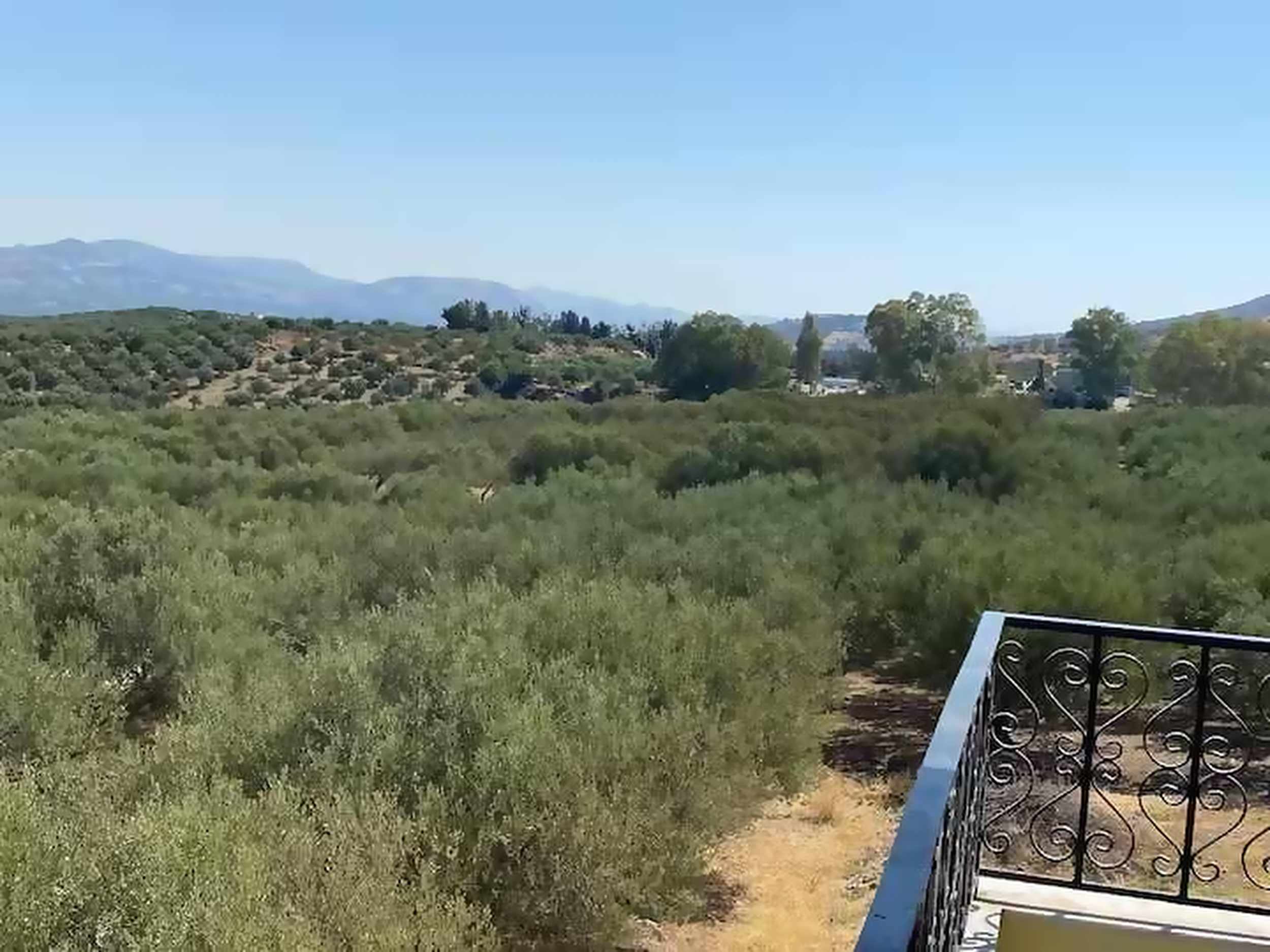 View 6