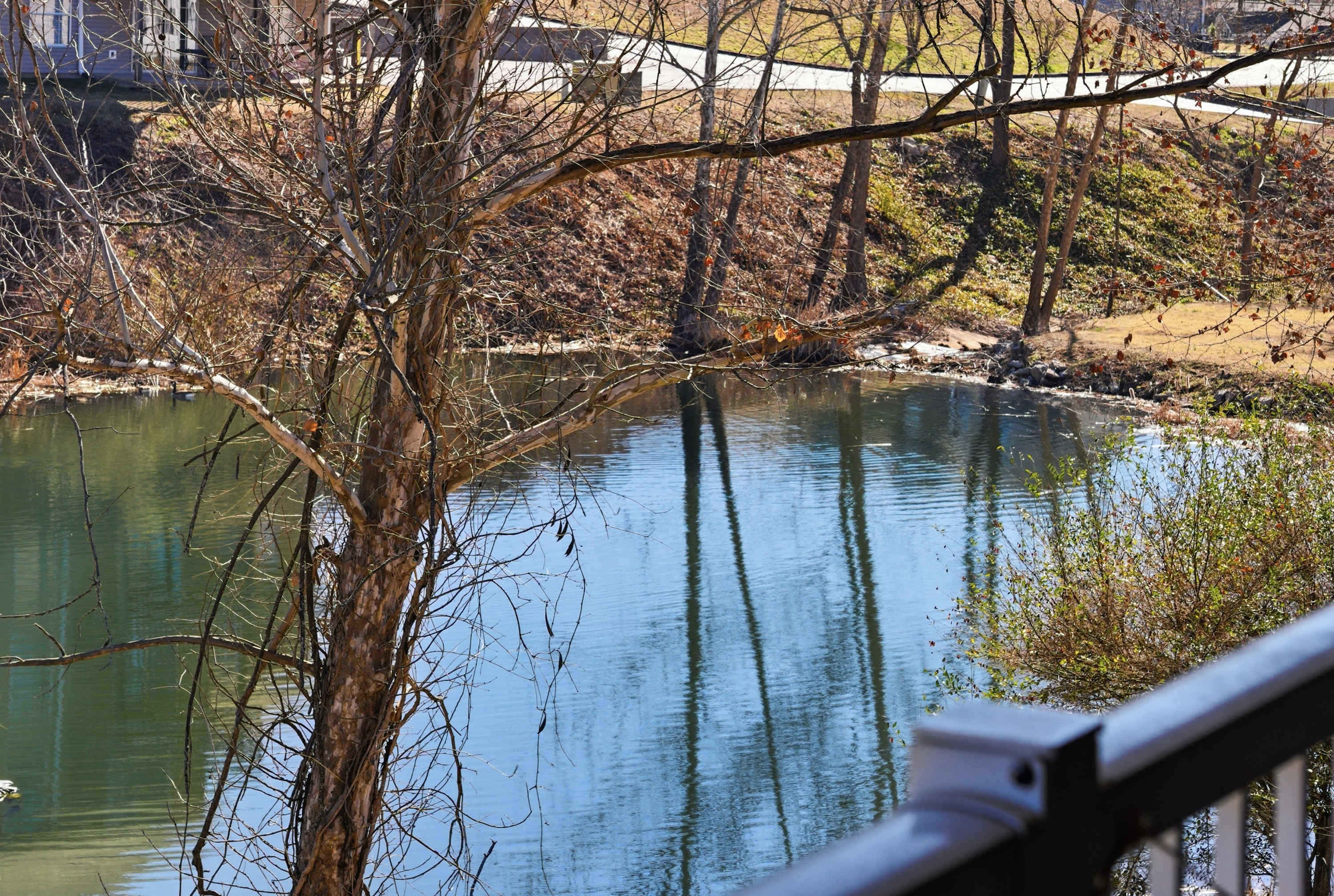 Branson Breeze Escape 4