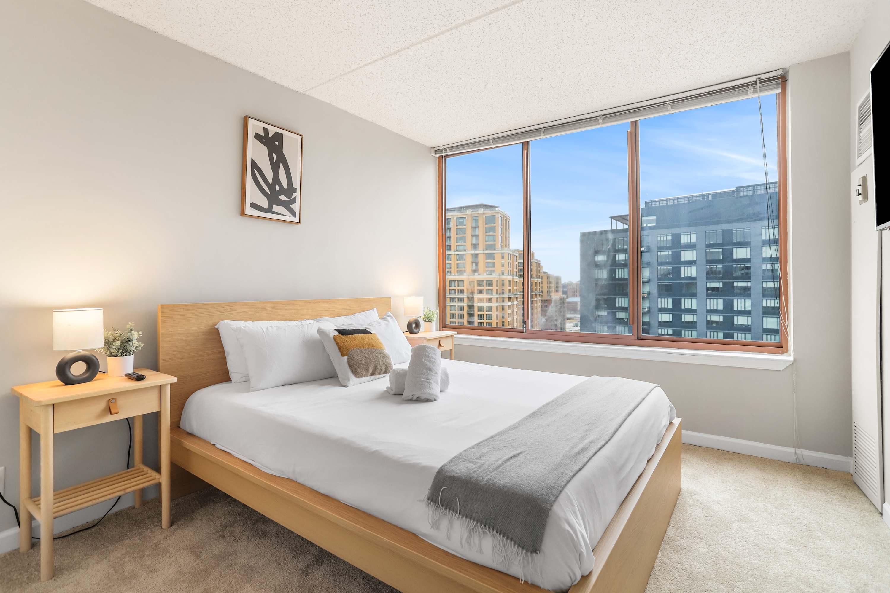 Apartment Steps from Pentagon City Metro