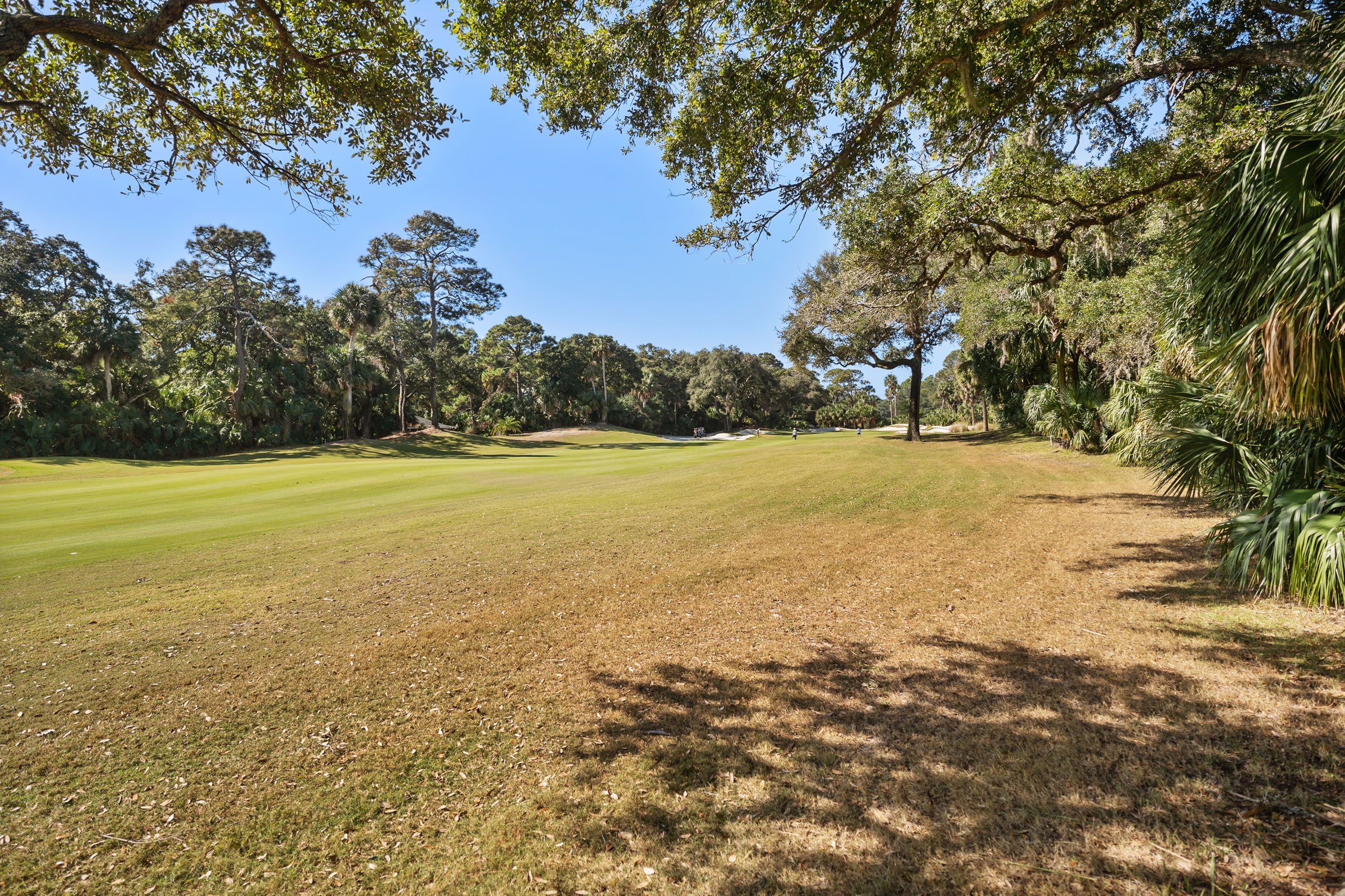 559 Remora Drive | Photo 2