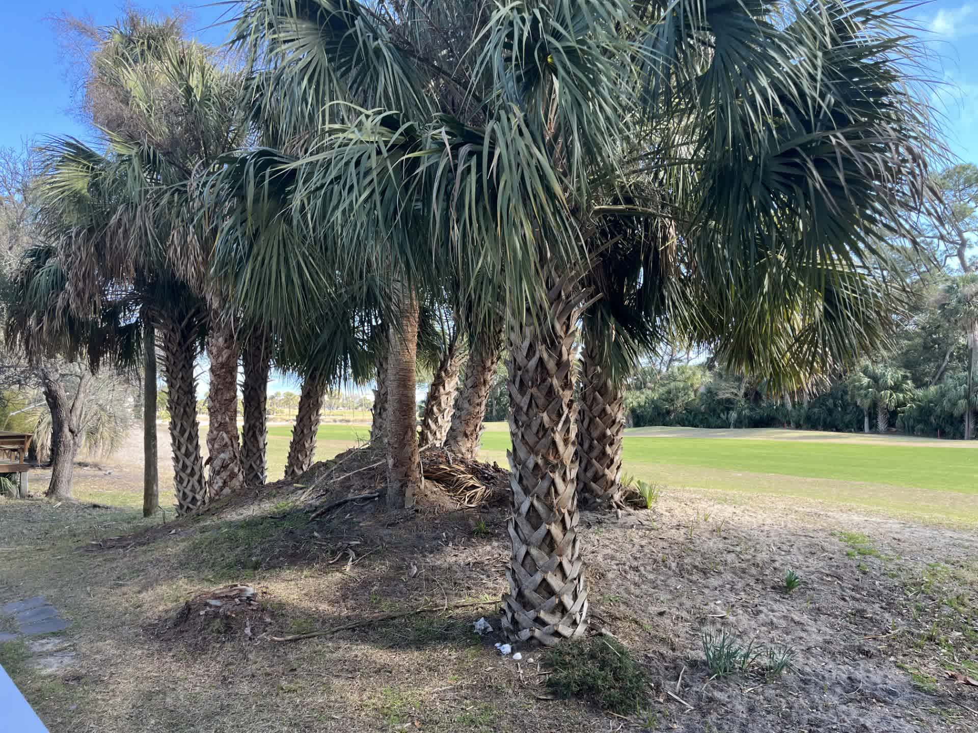 559 Remora Drive | Photo 19