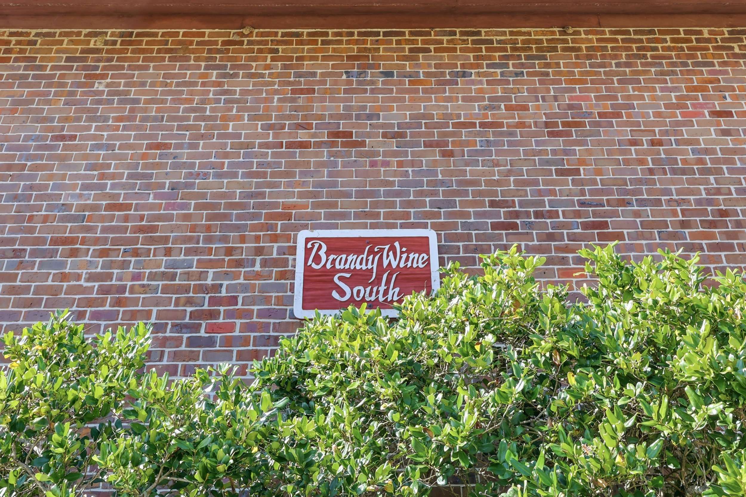 Maggie's Midtown Pet Friendly Condo Walk to Beach