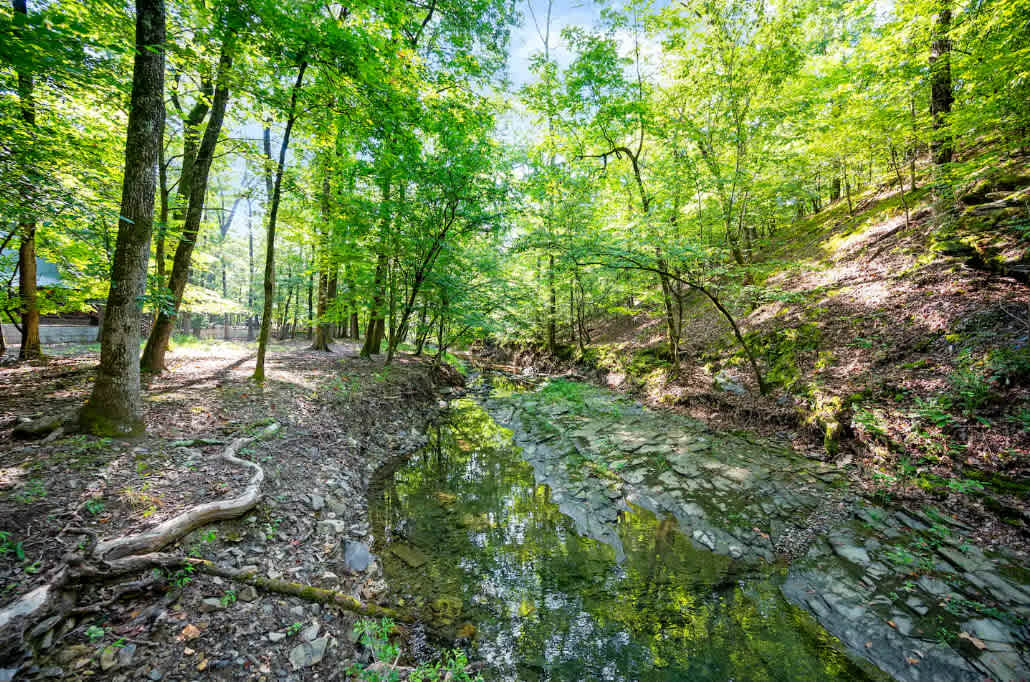 New! Play in Lukfata Creek! Hot Tub! Fire pit!