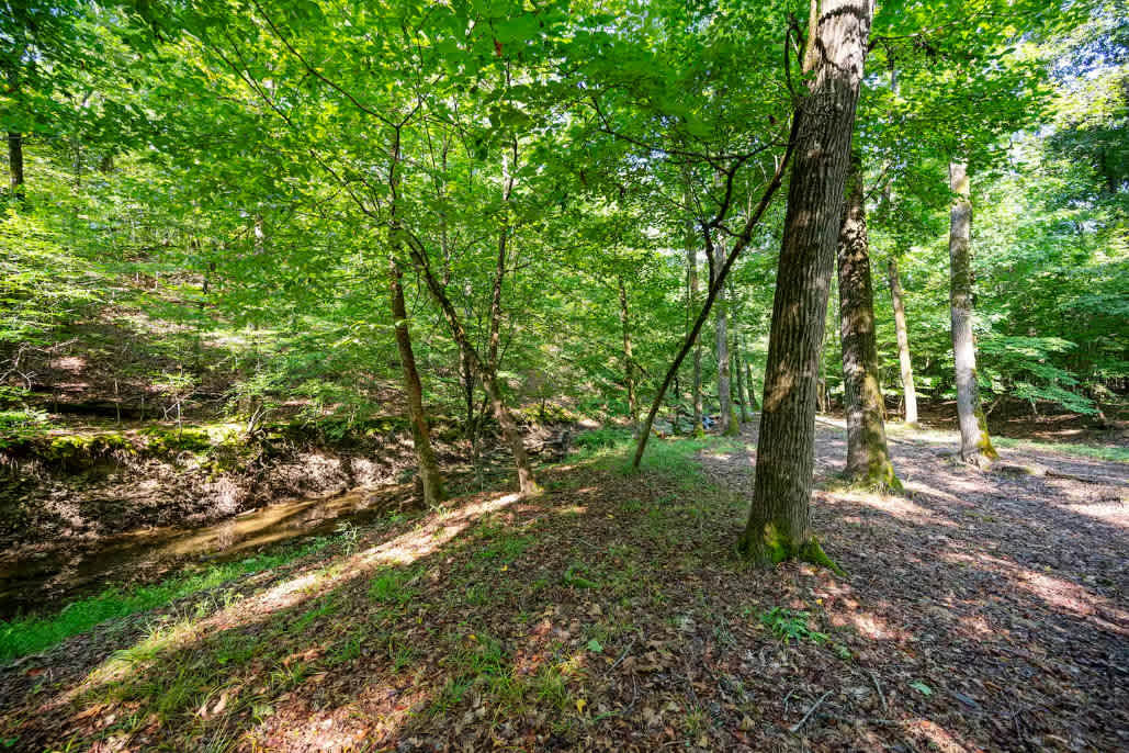 New! Play in Lukfata Creek! Hot Tub! Fire pit!