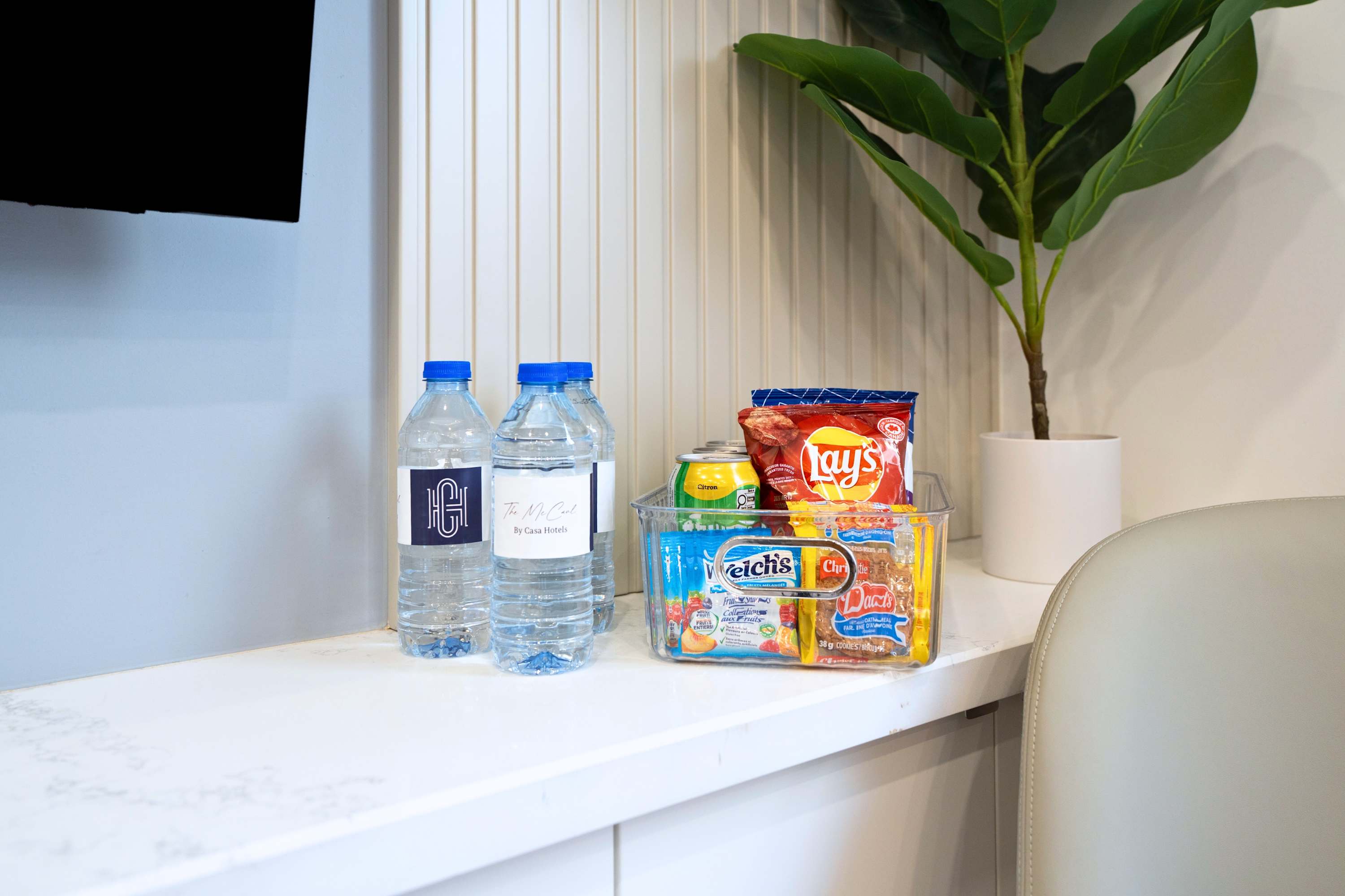 The McCaul by Casa Hotels Spacious Group Suite | Photo 9