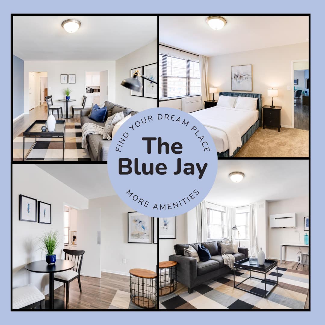 Modern Haven With Gym And Game Room - Stylish Urban Escape - Baltimore, MD