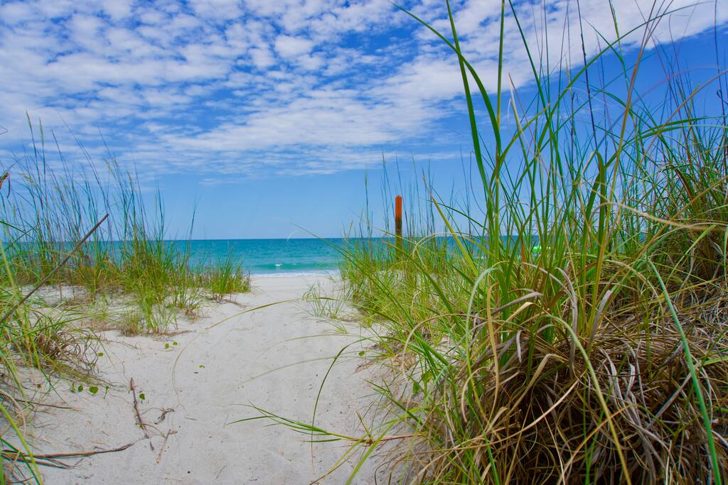 Beach Is Just Across the Street