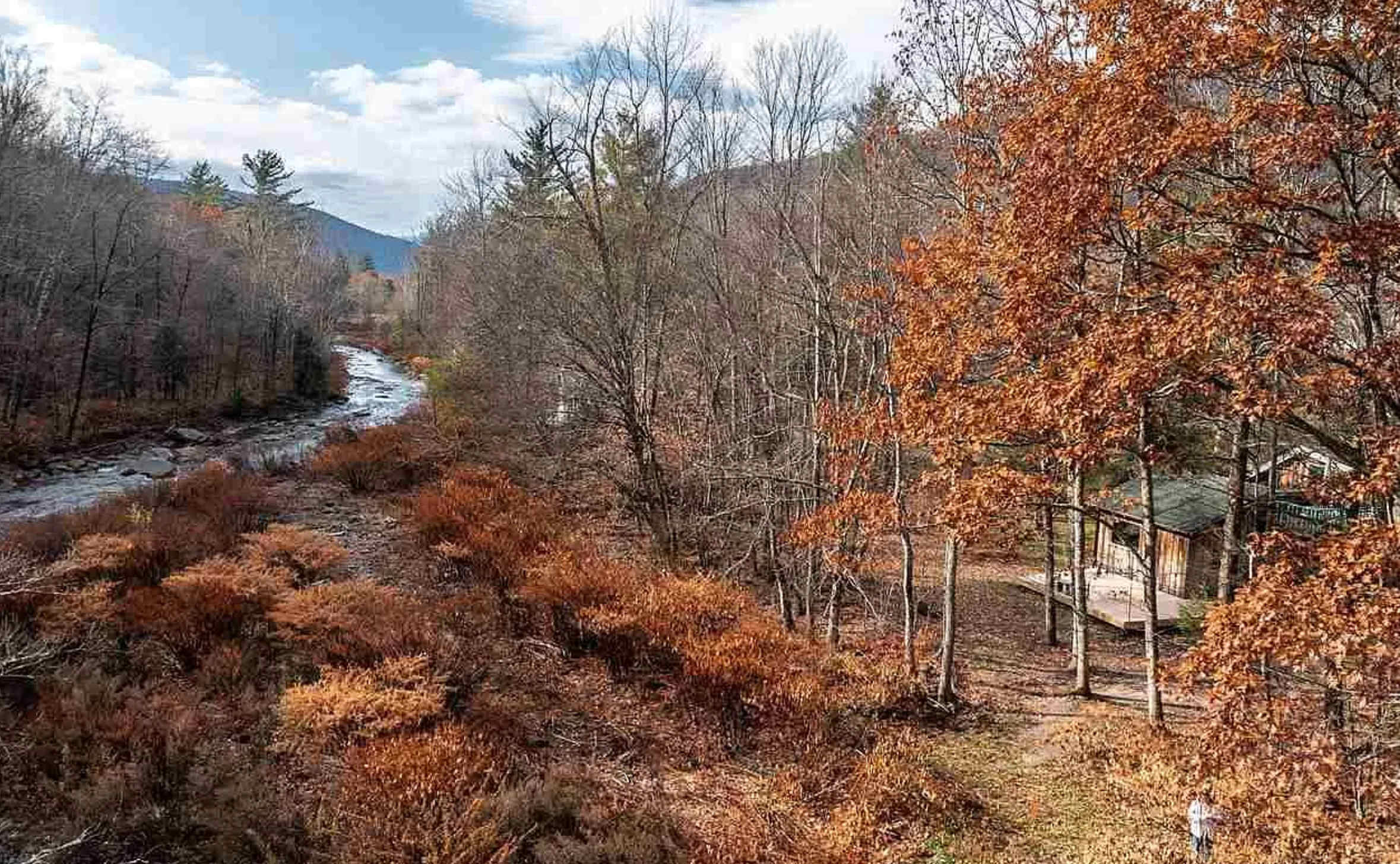 Catskills + Hot Tub + Fire Pit | Chic Cabin