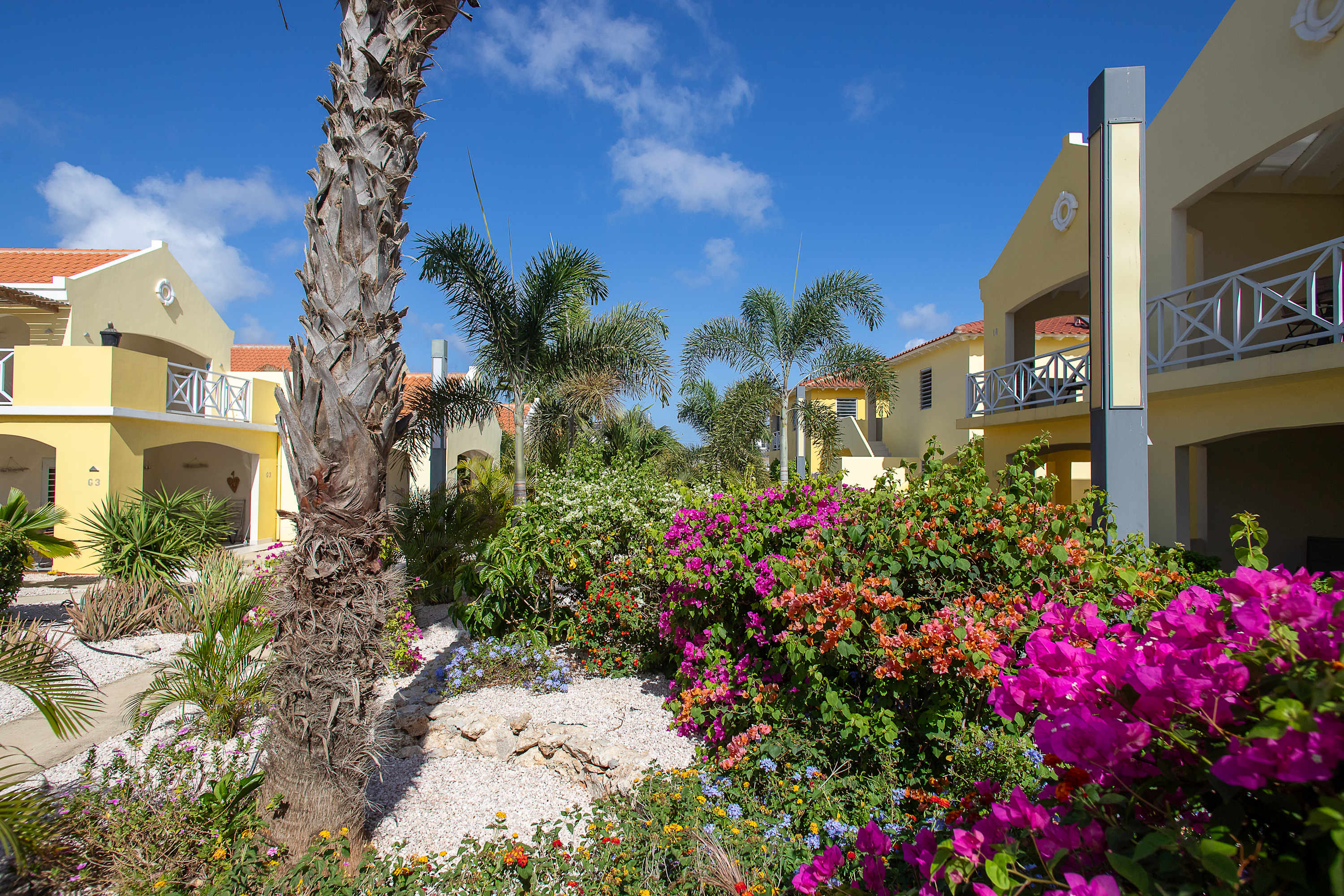 14 Kaya Sirena, Kralendijk, Caribbean Netherlands