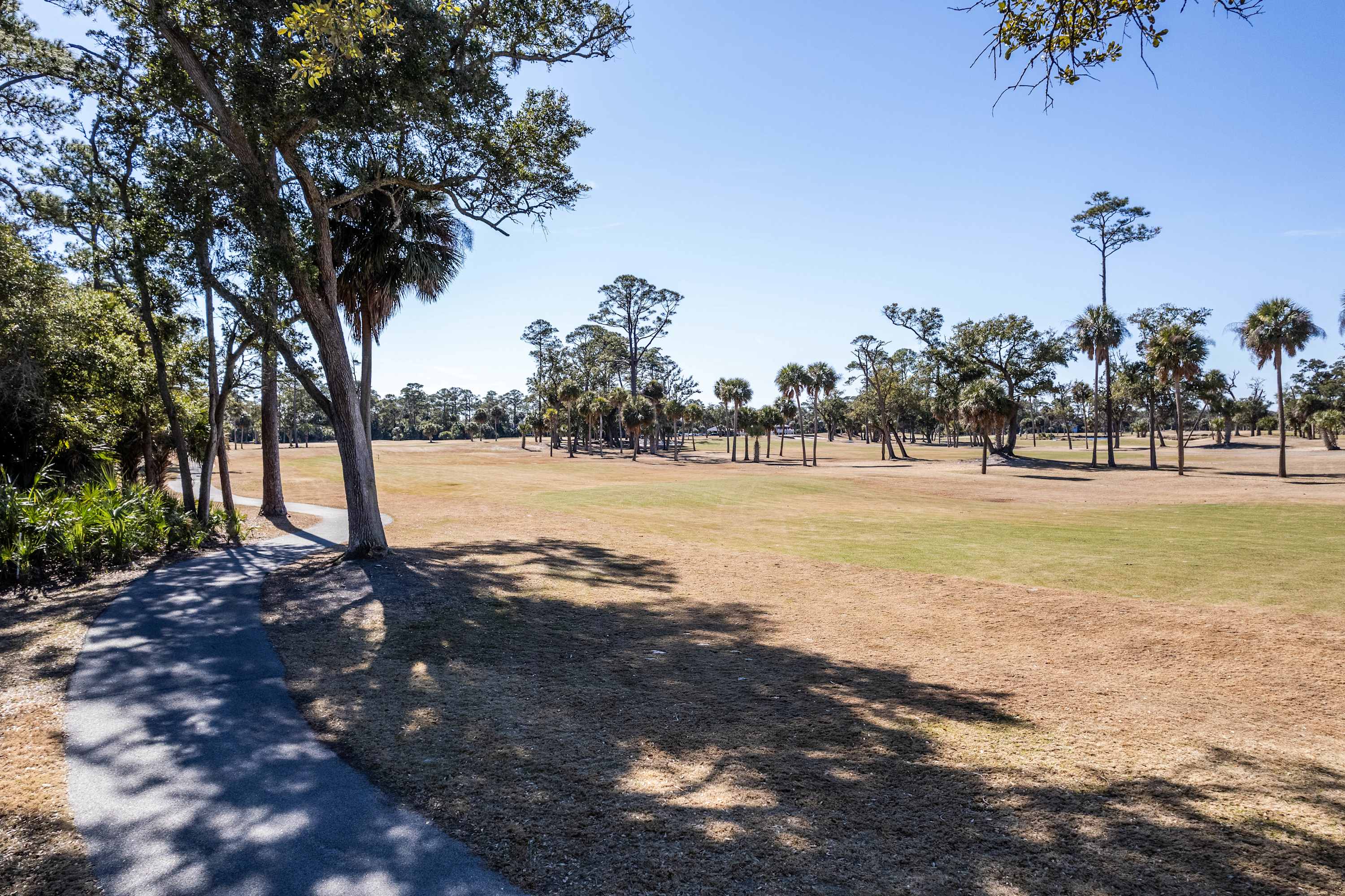 Backyard Golf Course View