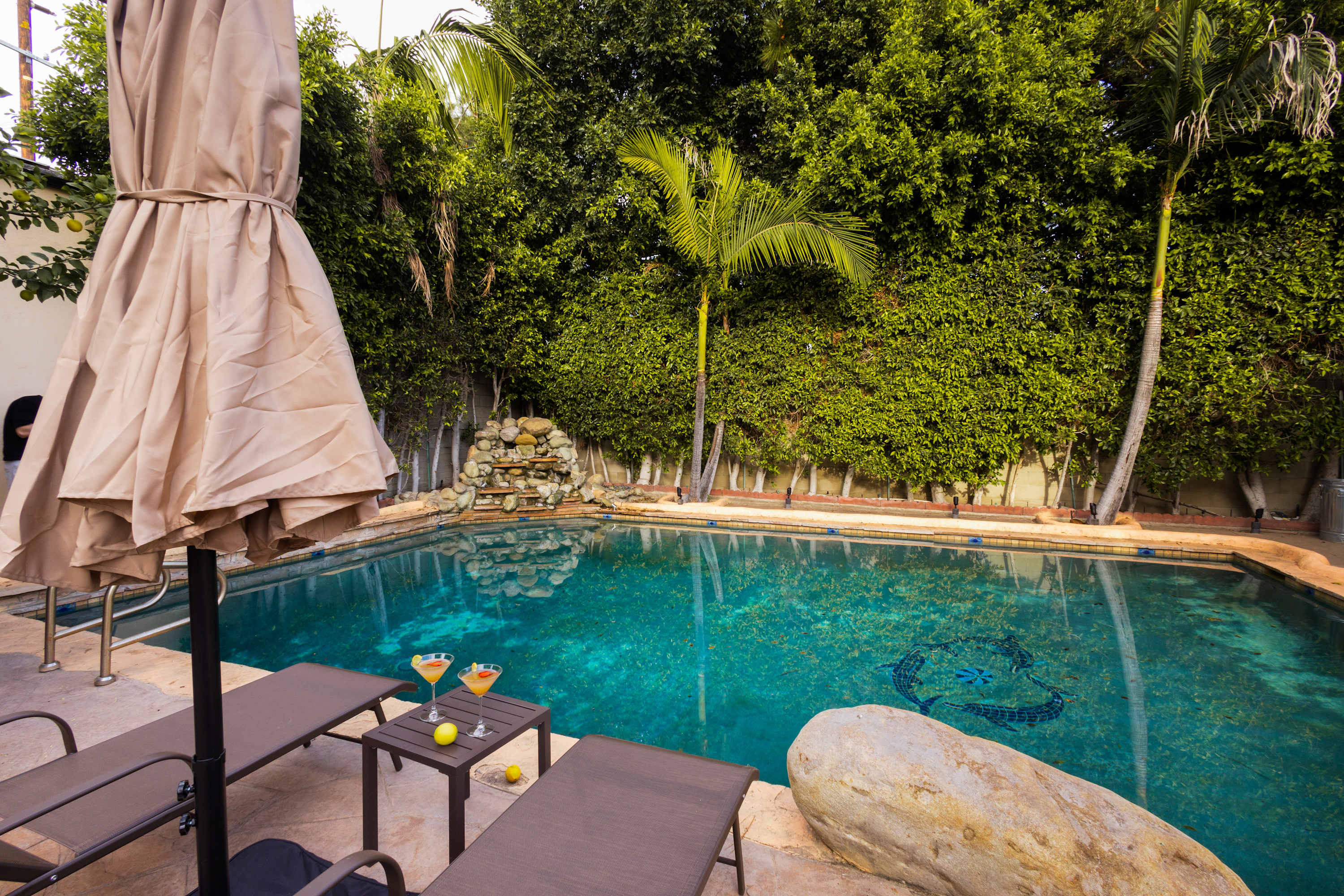 Casa de Palmas spacious oasis with pool