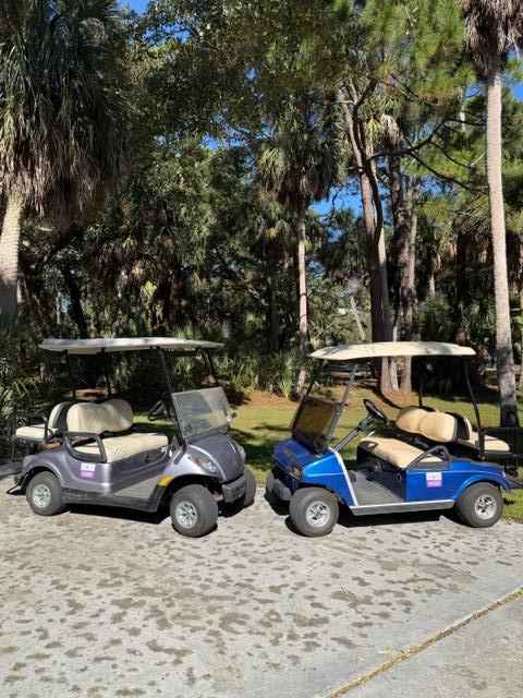 Two owner golf carts included