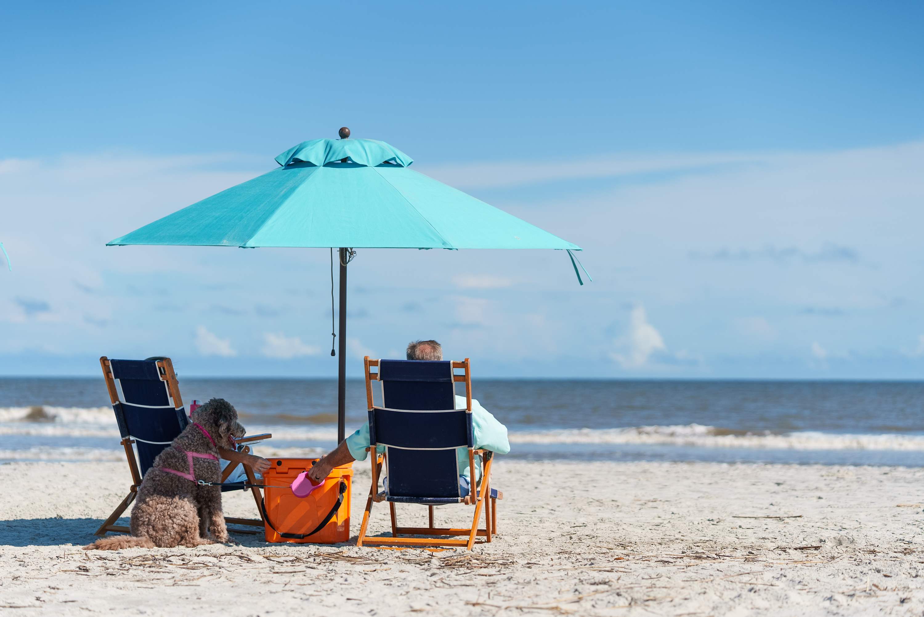 447 Porpoise Drive | Photo 72