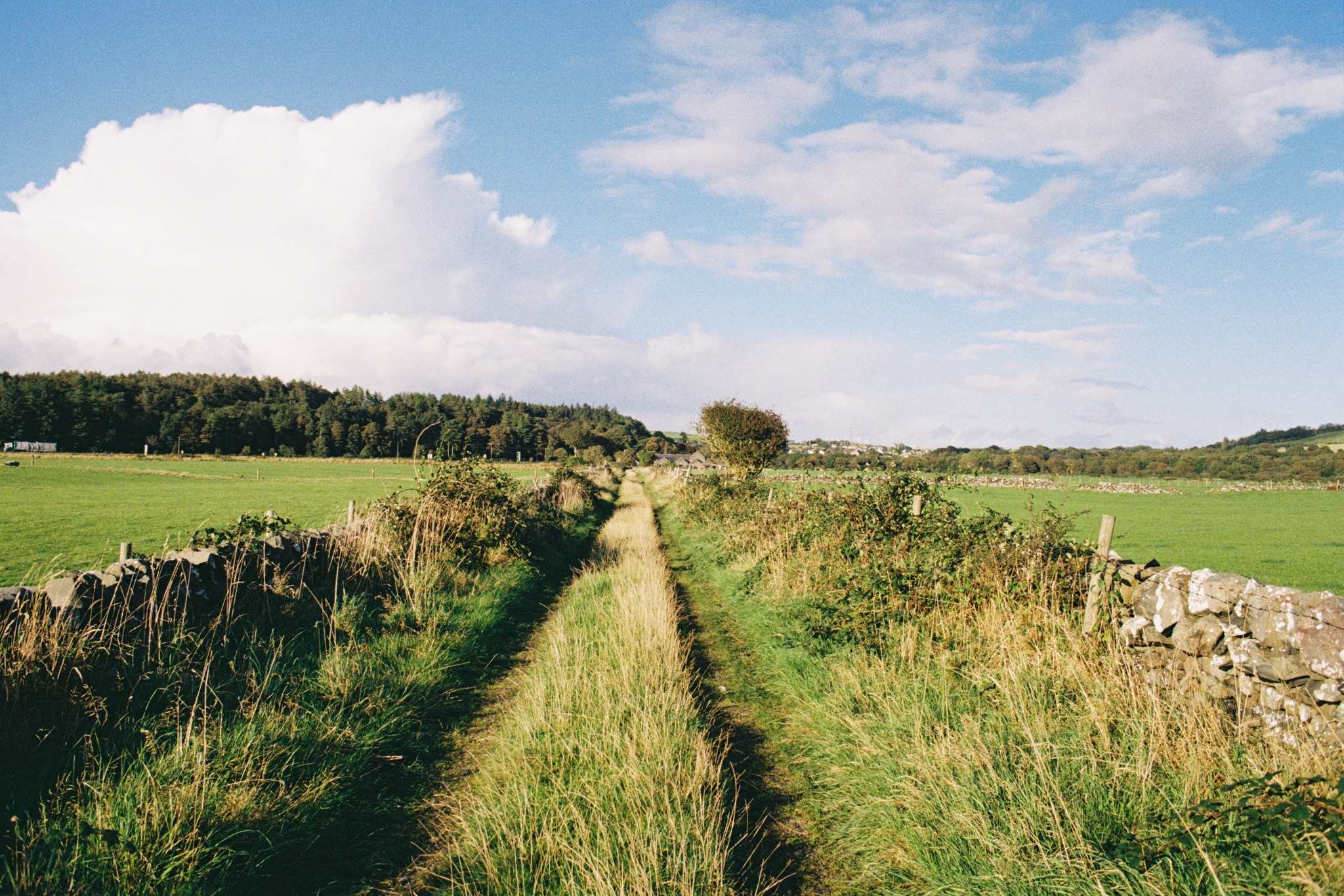 The Galloway Steading: Countryside Family Retreat with Sauna and Hot...