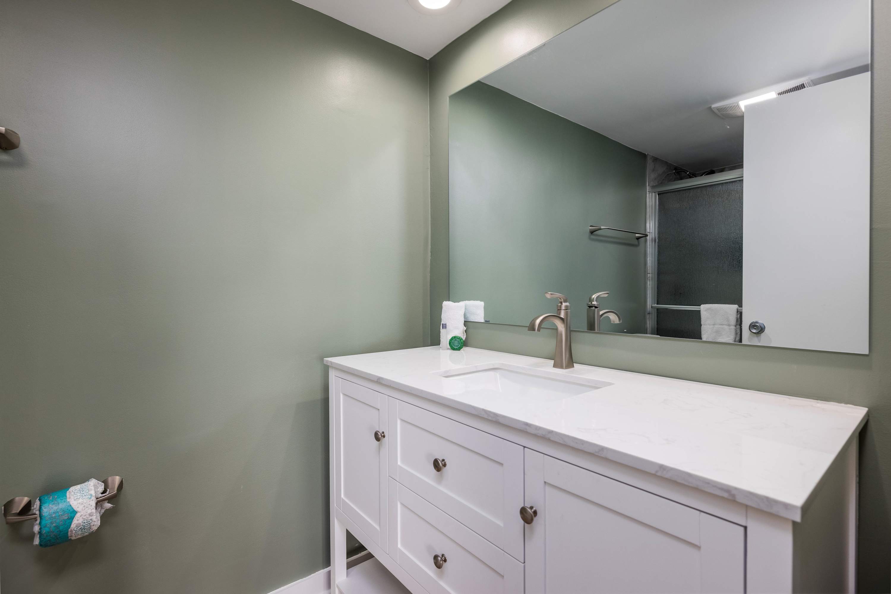 Fully Renovated Primary Bathroom with Walk-In Shower 
