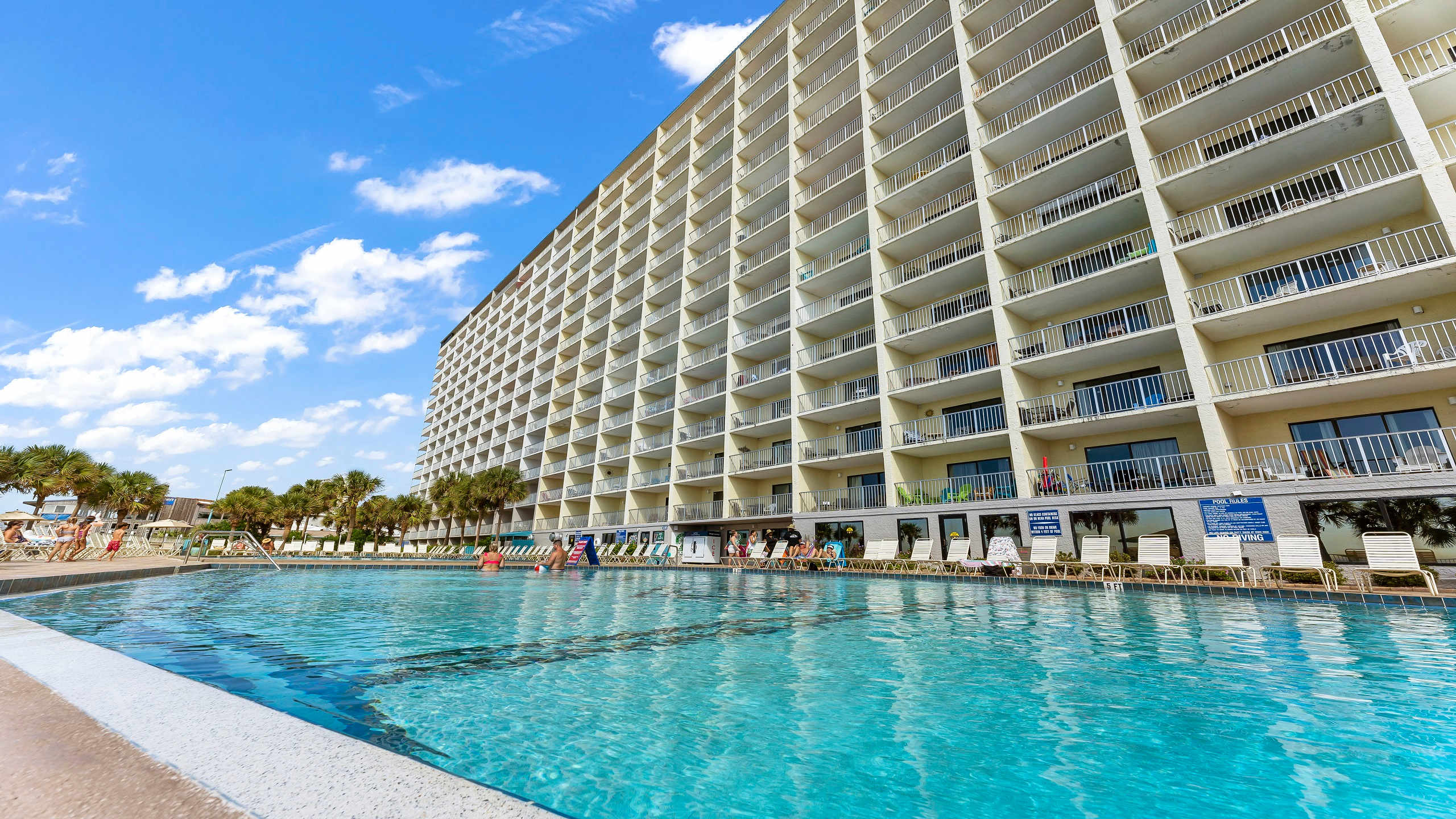 The Summit 419 – Pool area with lounge chairs, palm trees, and a tall building backdrop under a blue sky.