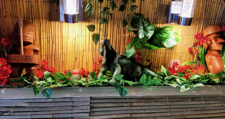 The Polynesian A Frame Beach Hut Gulf Front Row | Photo 3