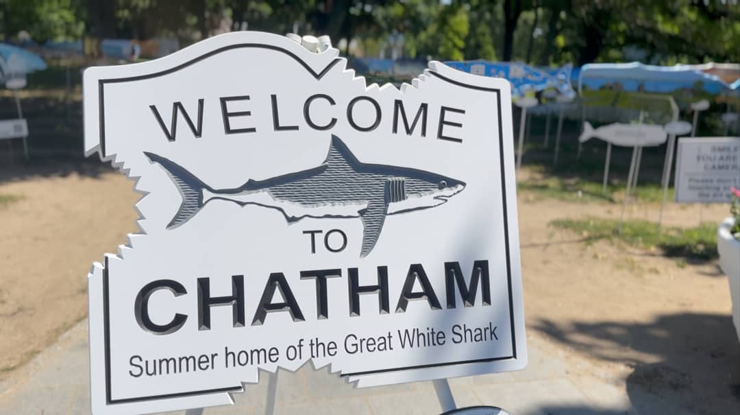 Photo 2 of Del Mar #16699