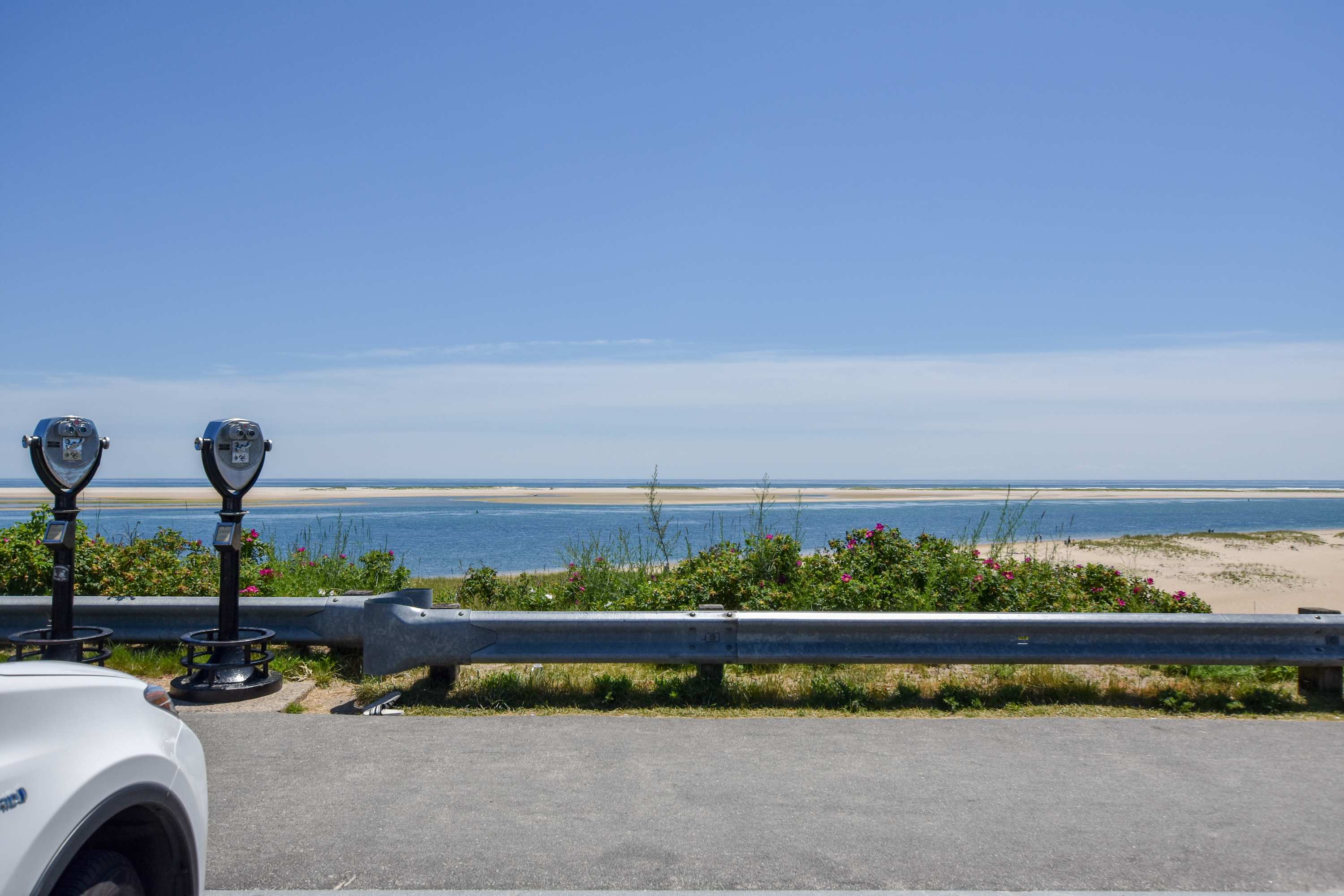 Photo 8 of Del Mar #16699