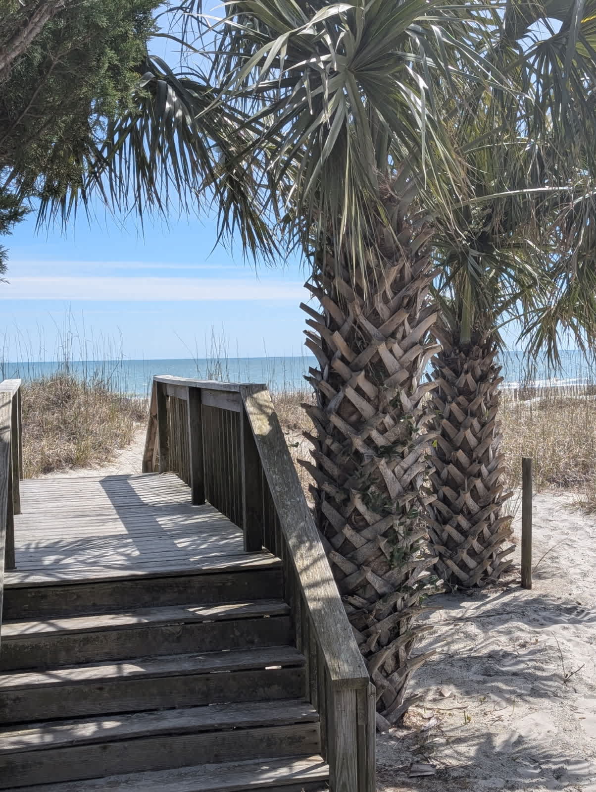 Ocean Forest Villas Unit B116 Ocean Nearby 4