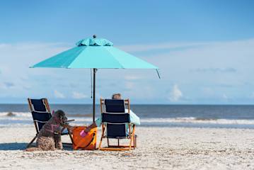 529 Sunsuite | Photo 18