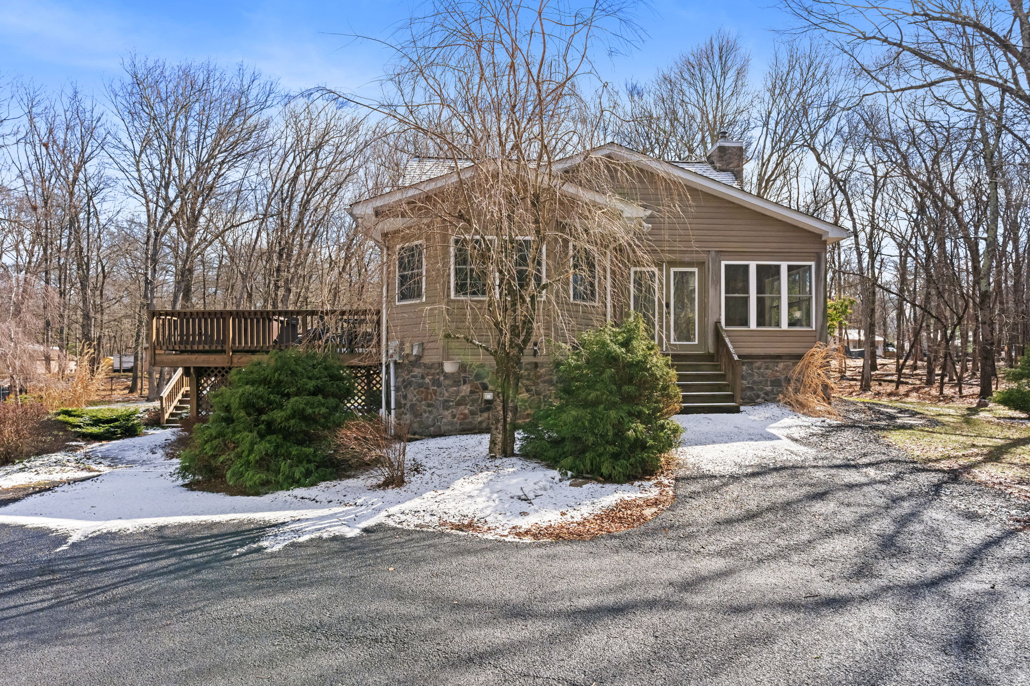 Side angle of the Pocono retreat showing the cozy cabin nestled among tall trees