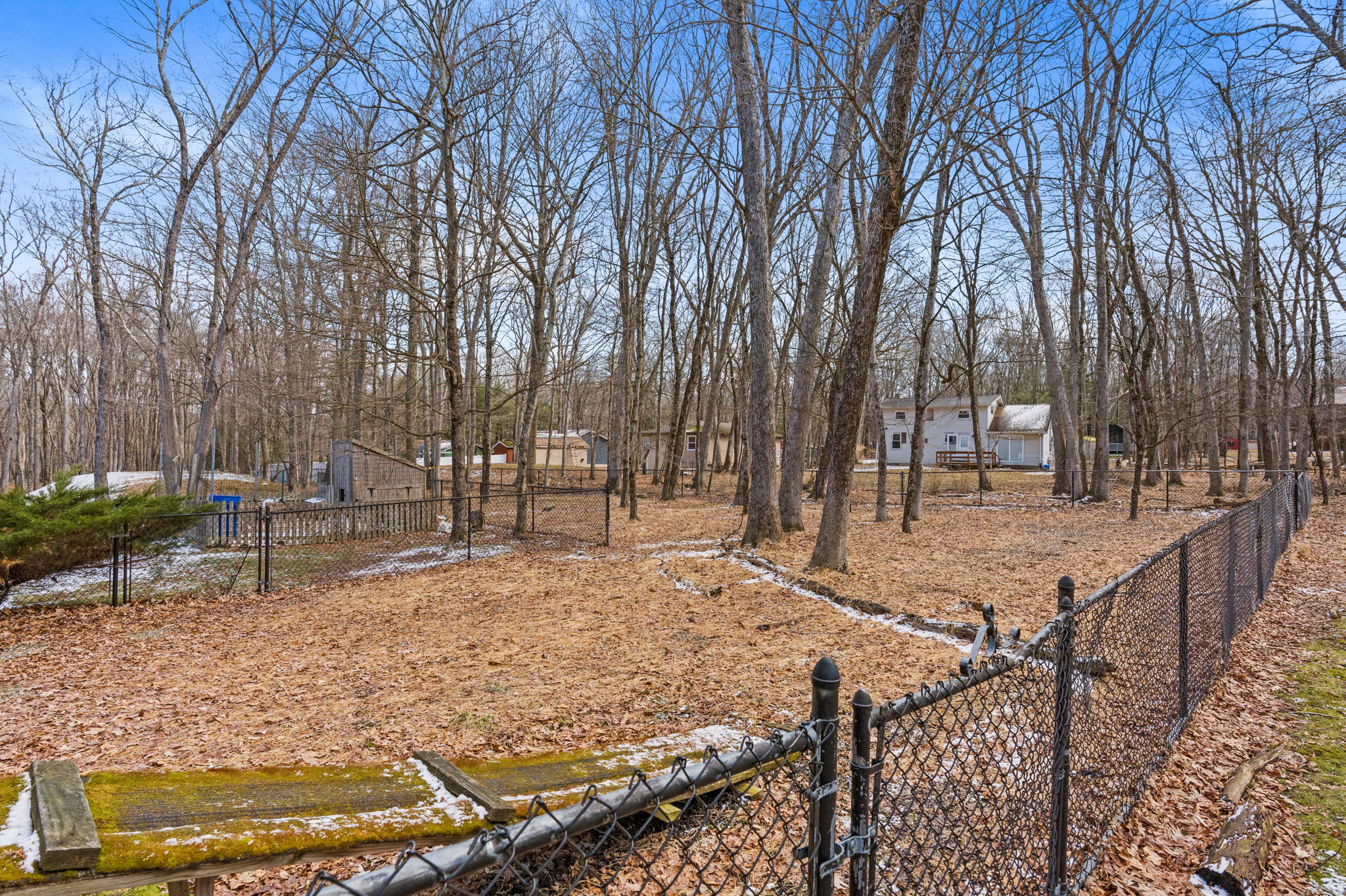 Fenced backyard with the pool area and a view of the peaceful wooded surroundings