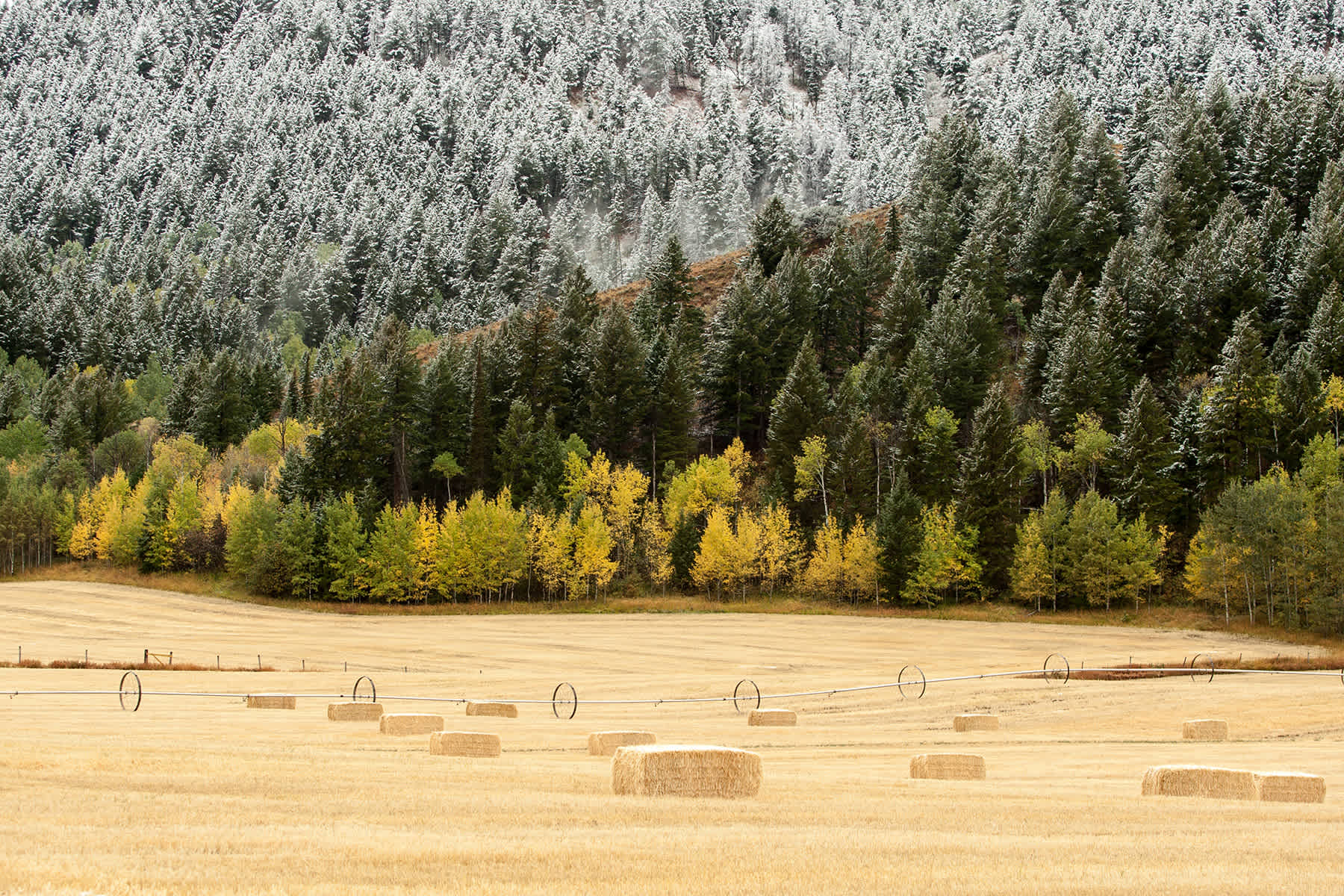 Coming Soon... — Driggs, ID — vacation rental