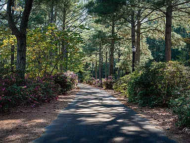 Bubbles Up at Bay Creek - Chesapeake Properties