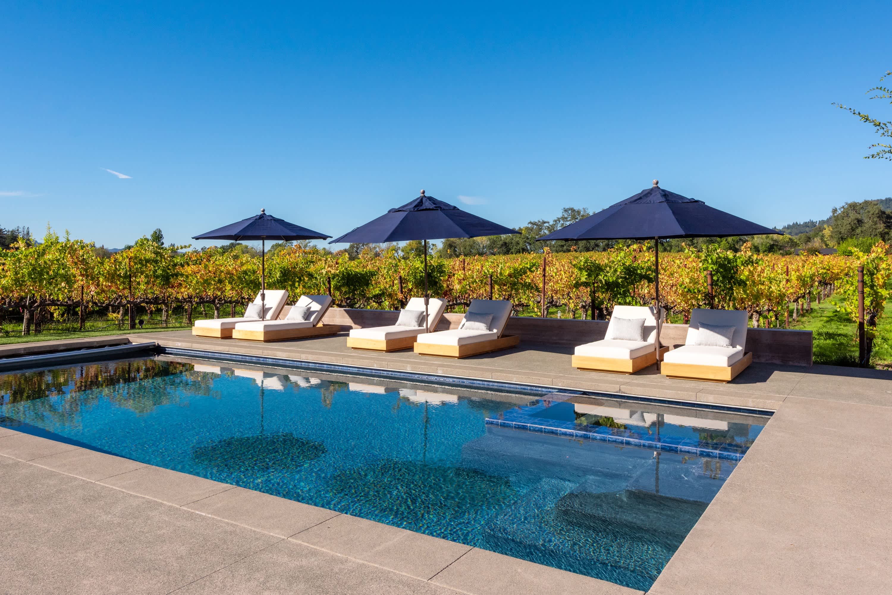 Vineyard Daydream Wine Tastings Included 2