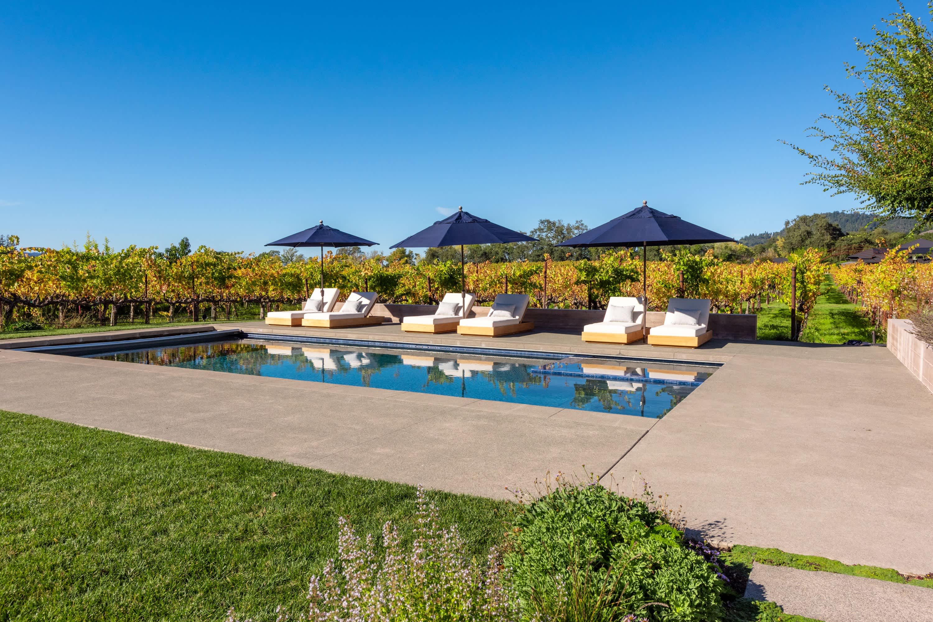 Vineyard Daydream Wine Tastings Included