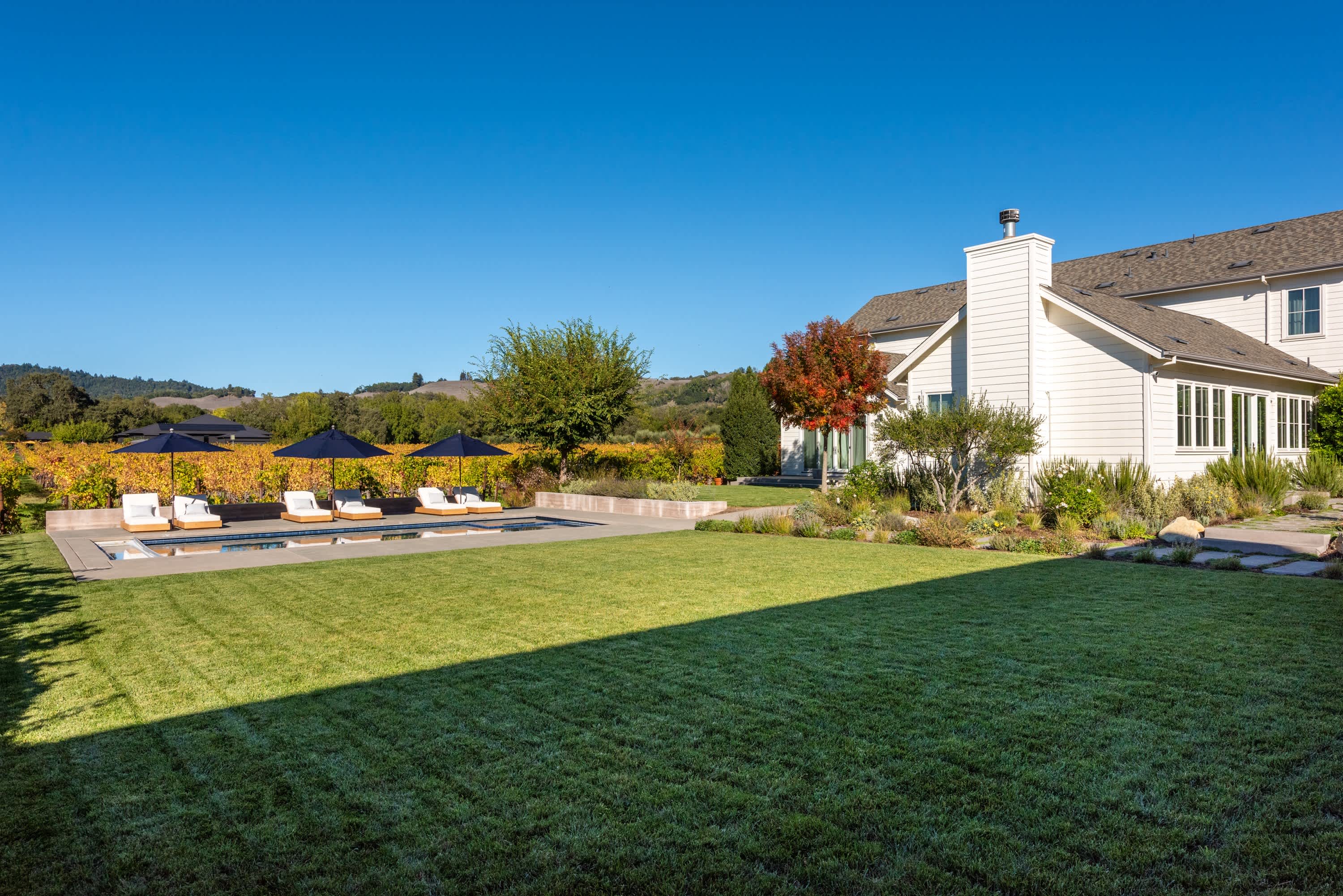 Vineyard Daydream Wine Tastings Included 4