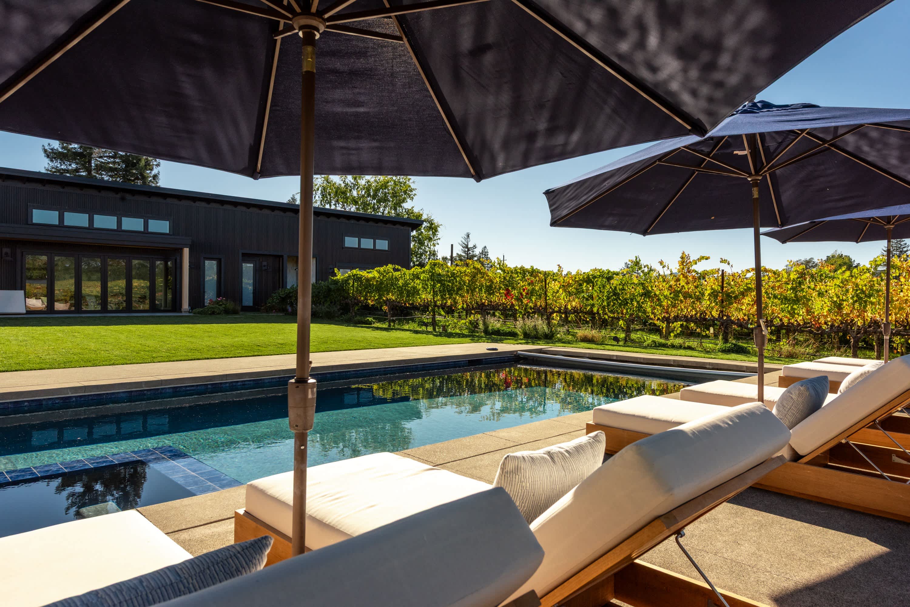 Vineyard Daydream Wine Tastings Included 3