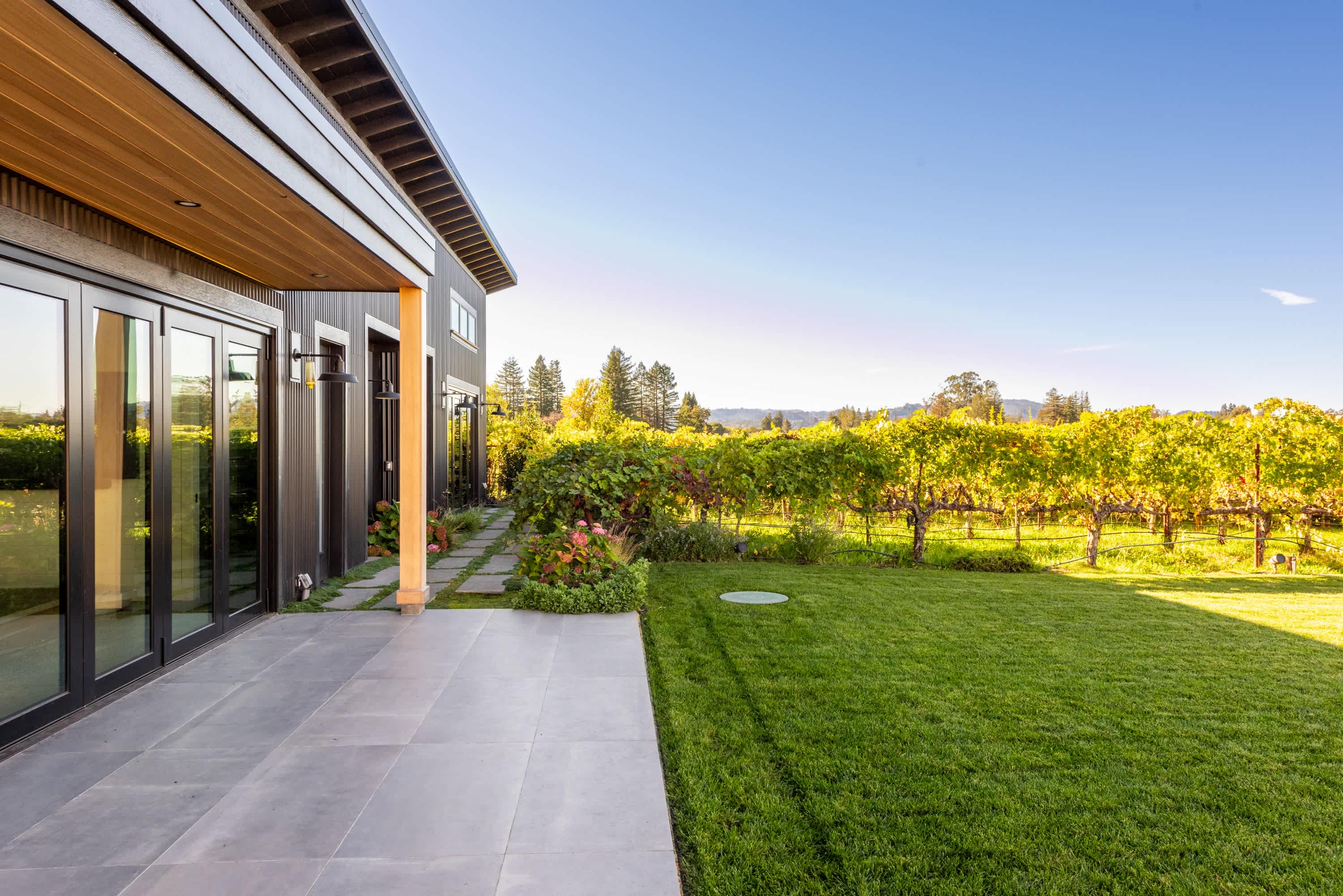 Vineyard Daydream Wine Tastings Included 5