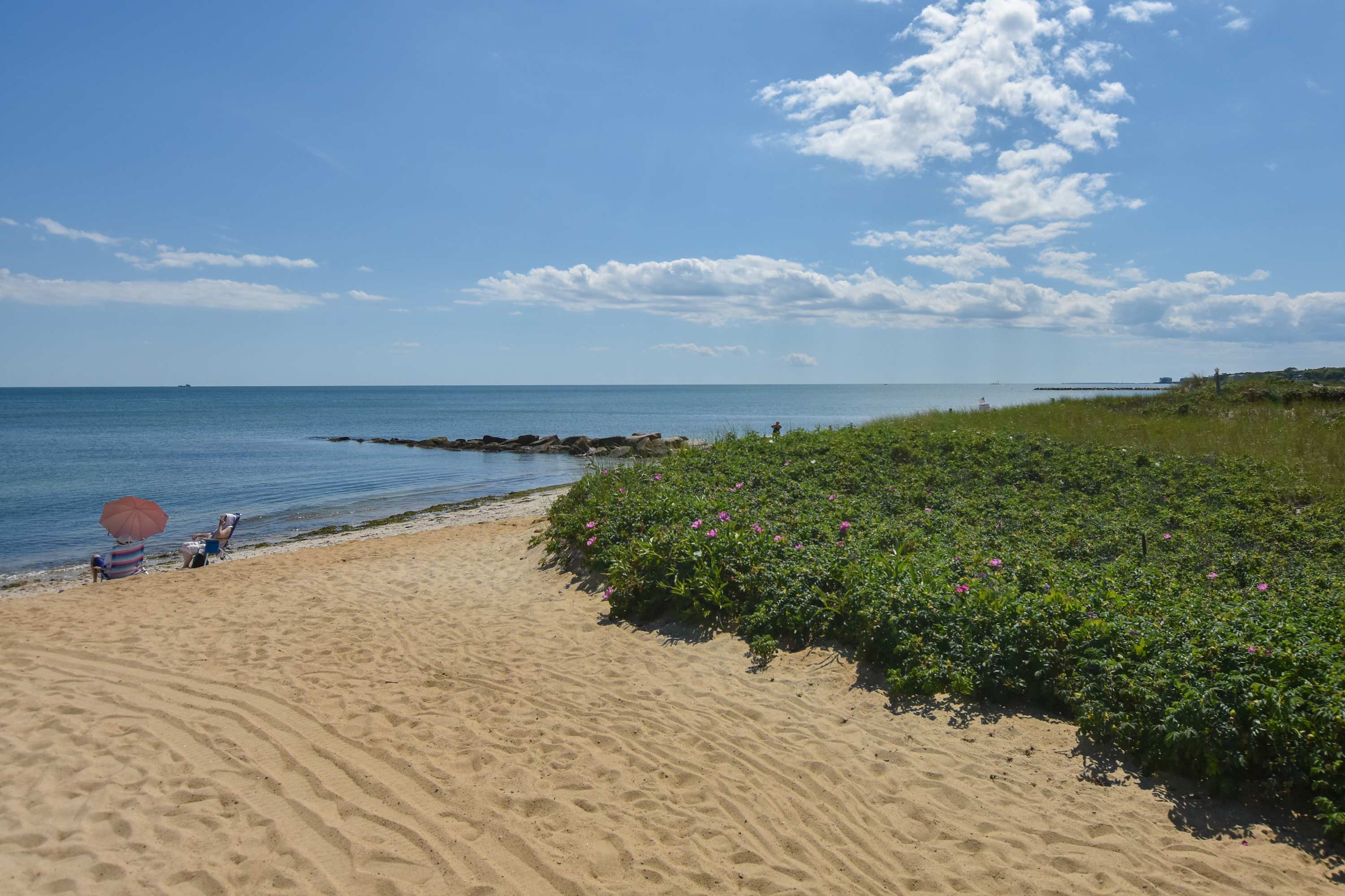 Photo 5 of Del Mar #16673