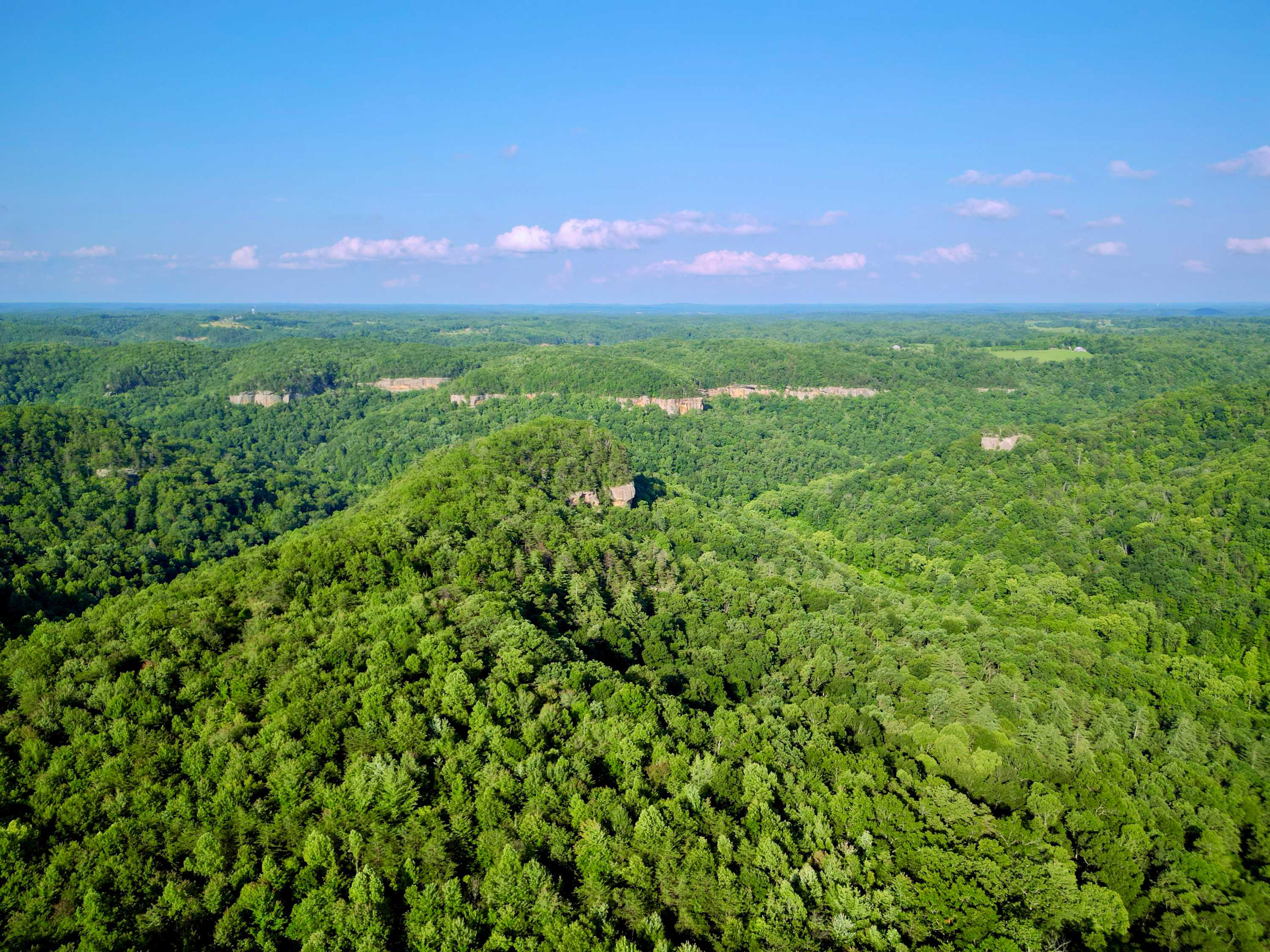 View 8