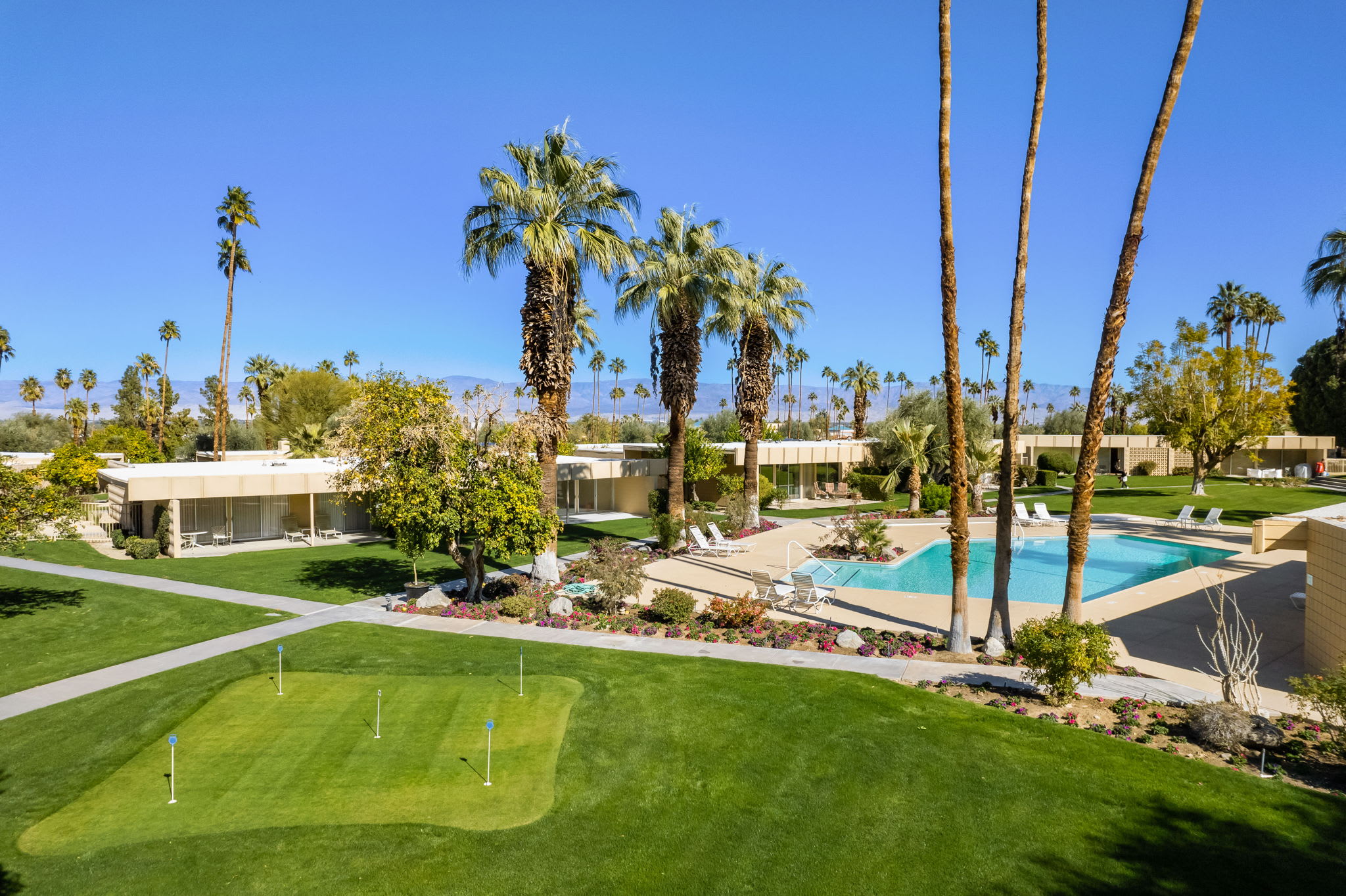Community pool and palms seen across the landscaped lawn.