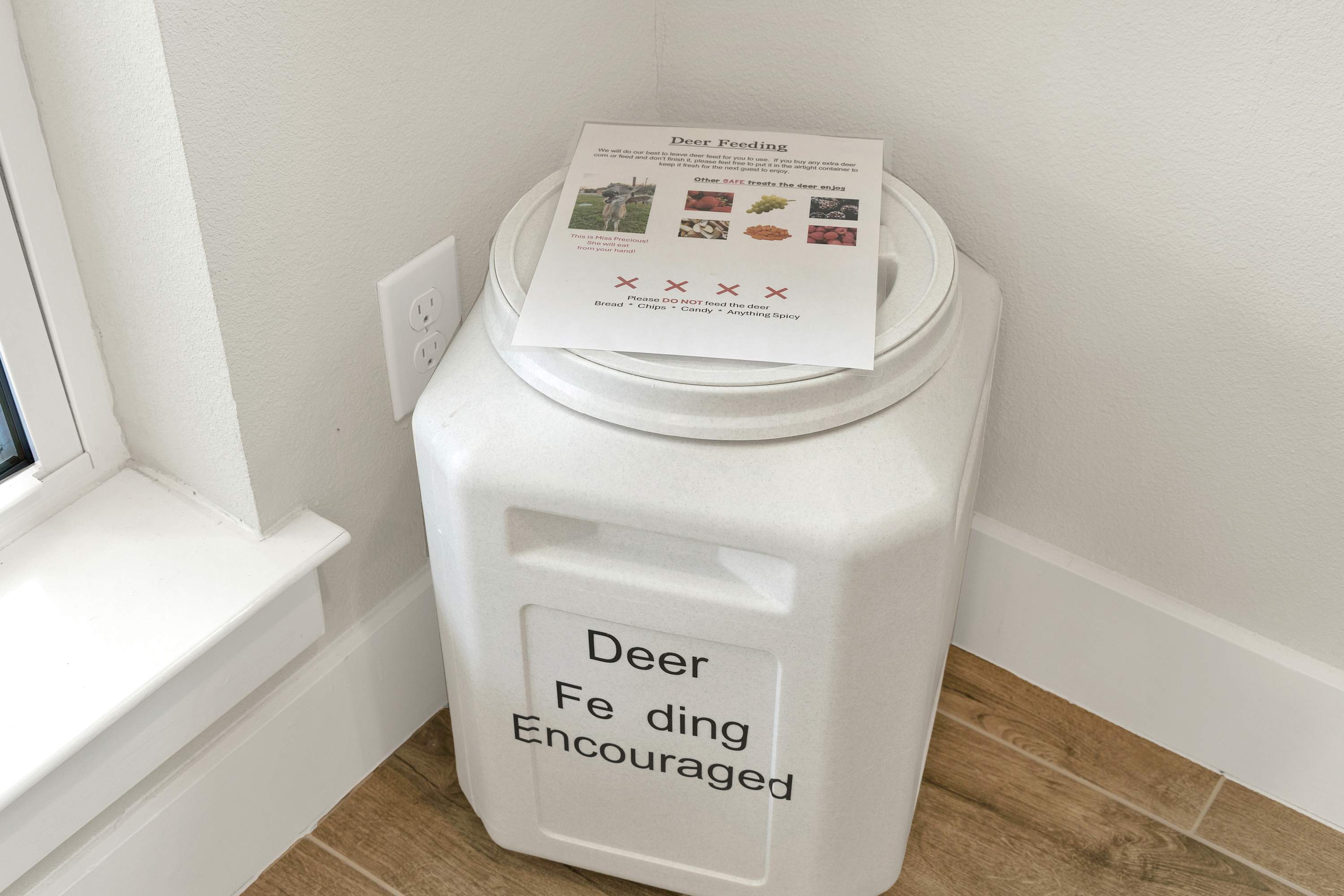 Southern Hill Country Hideaway 3