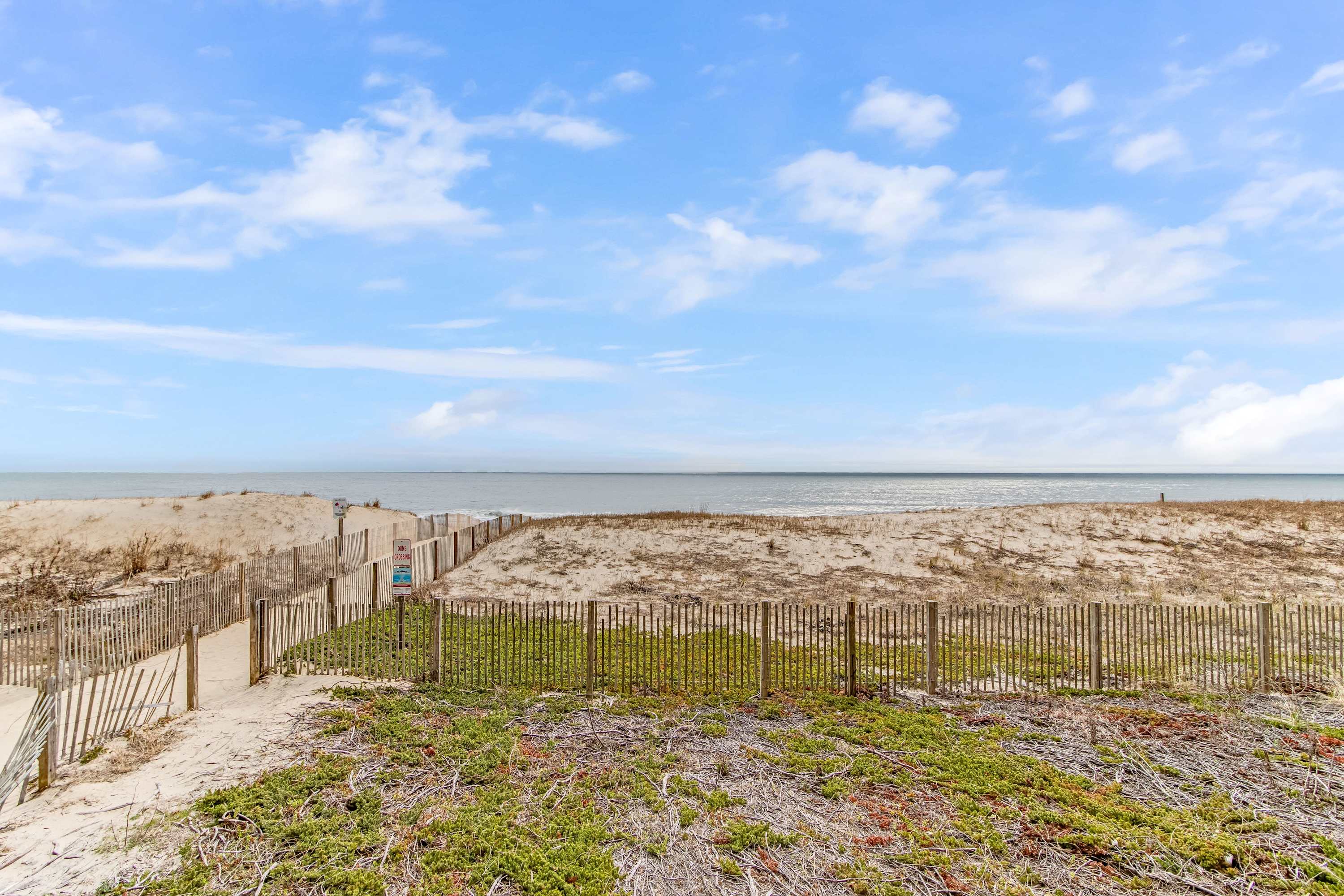 Salty Sands 2 101