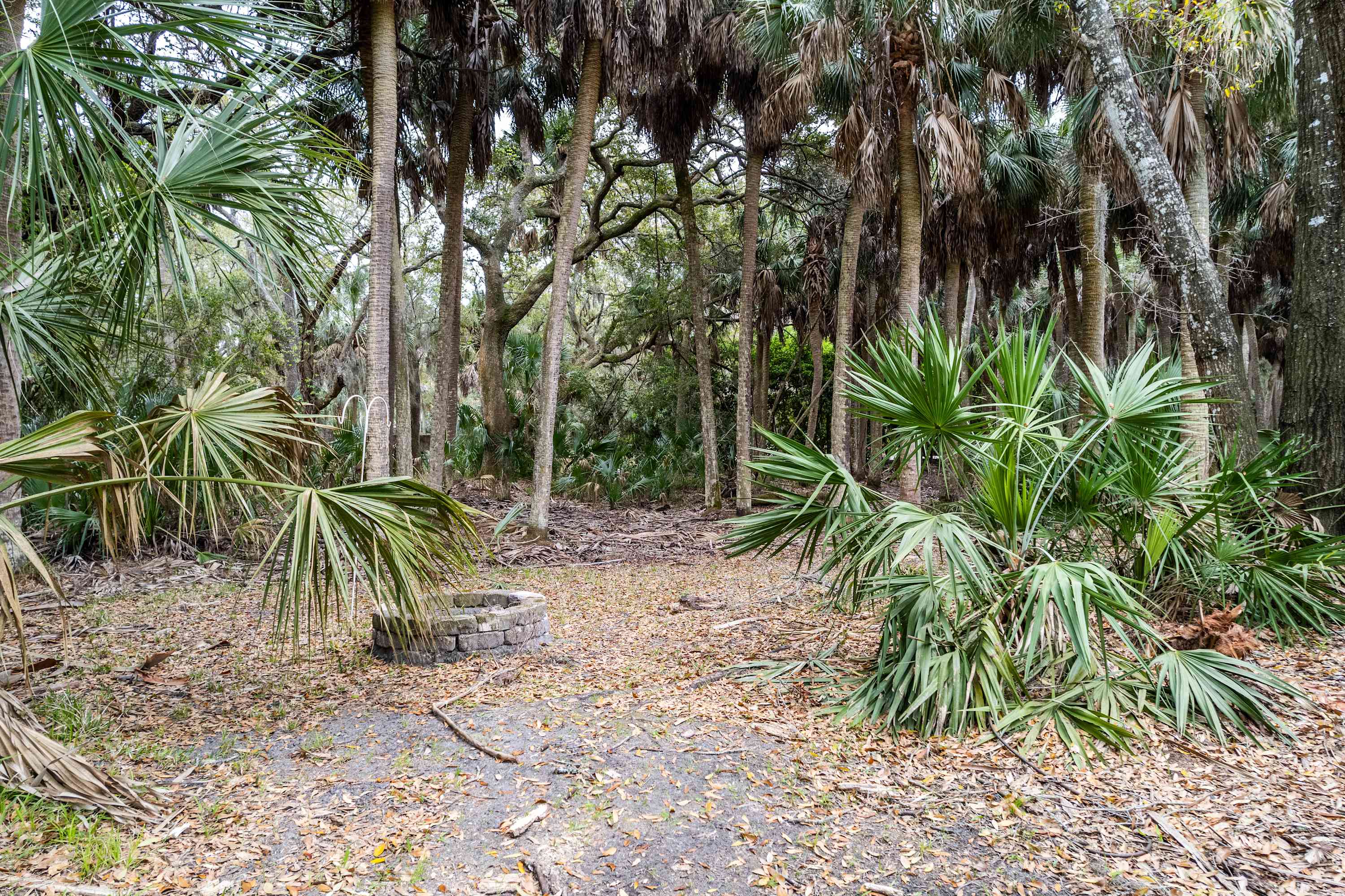 3 Kingfisher Cove | Photo 61