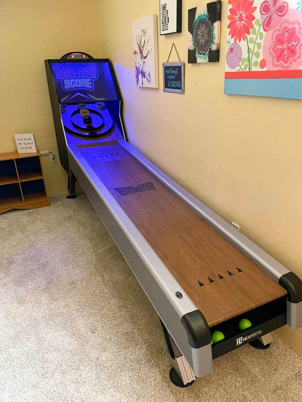 Skee Ball Game