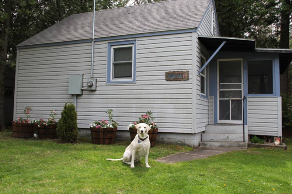 Sunset Shores - Tiger Lily Cabin #5 5